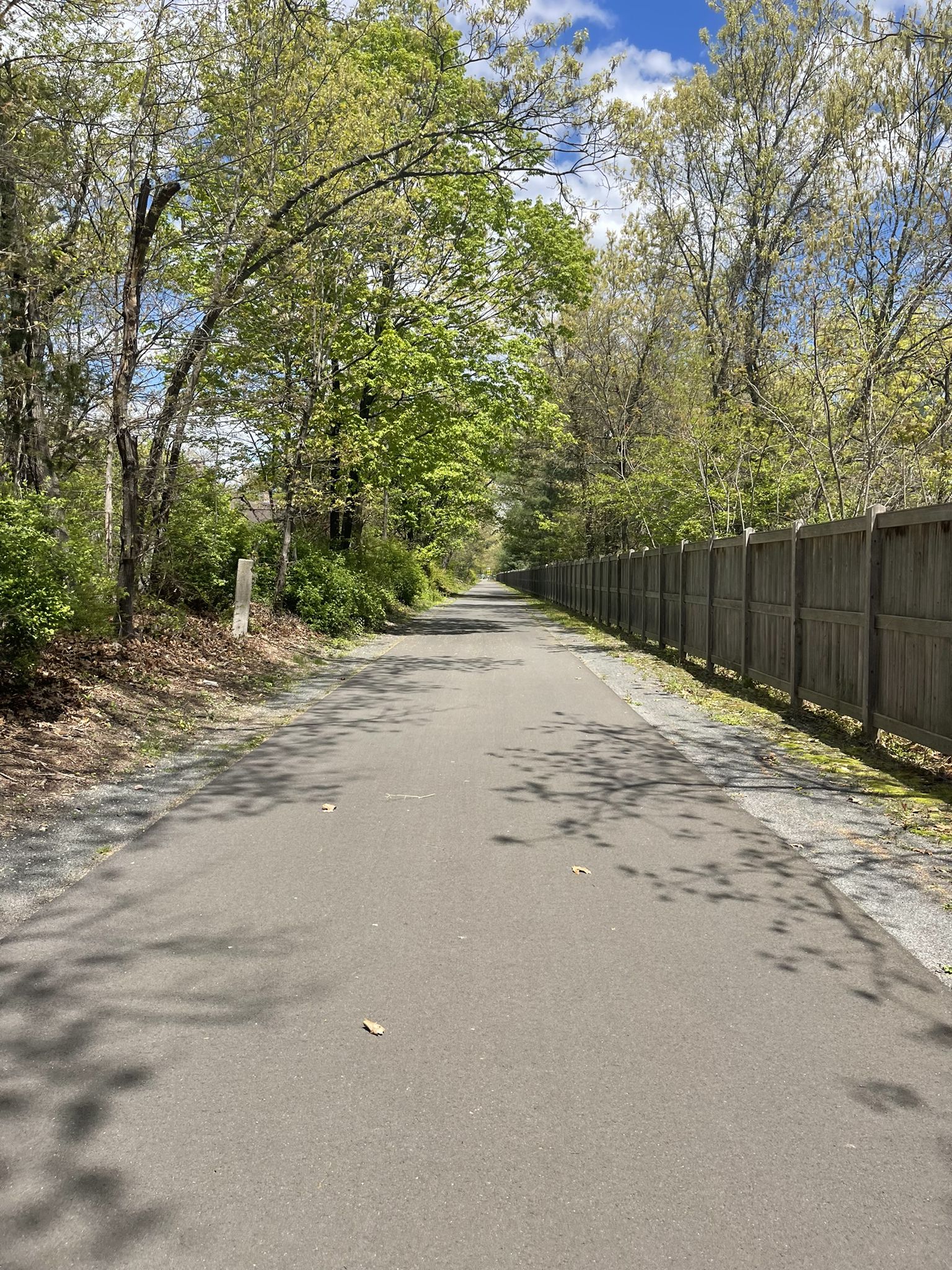 Paved path through a wooded area, with dappled sunlight and shadows. - Farmington River Bridge loop from Town Open Space (Pequabuck Lane)