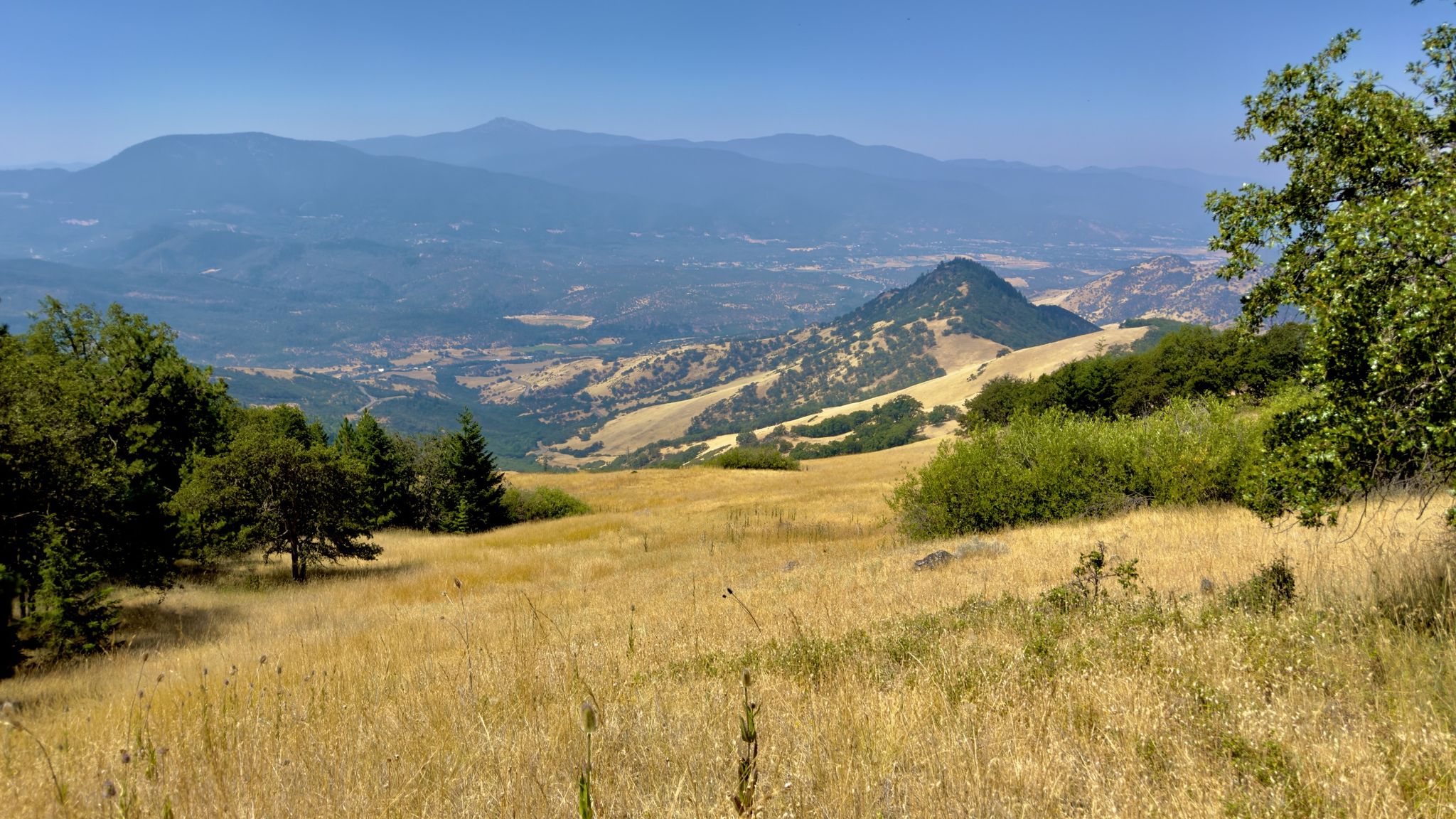 Golden grassy hillside overlooks a vast valley with distant blue mountains. - Green Springs Mountain Loop Trail