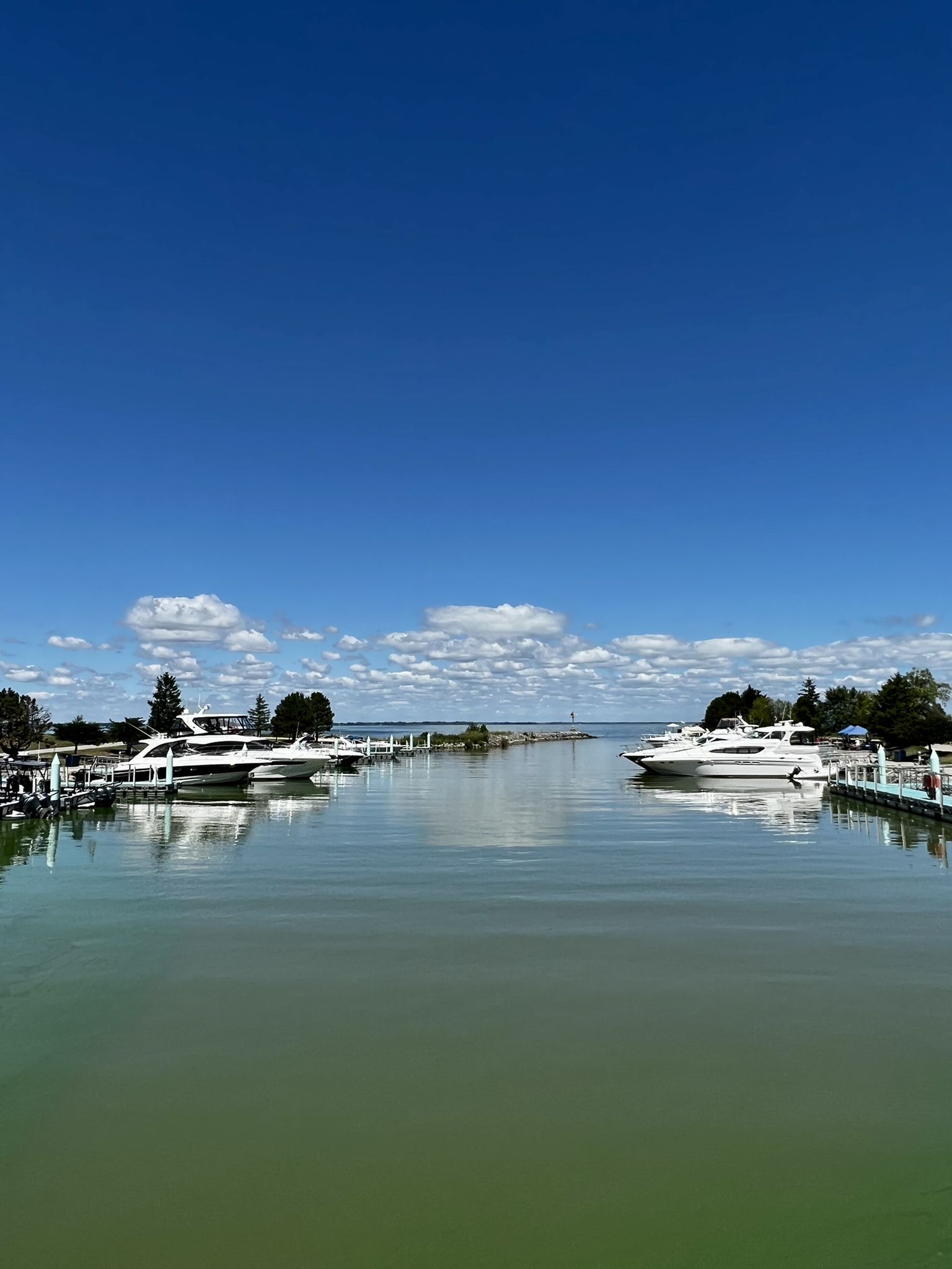 Marina with several white boats docked on a sunny day under blue sky. - Maumee Bay State Park loop from Maumee Bay State Park
