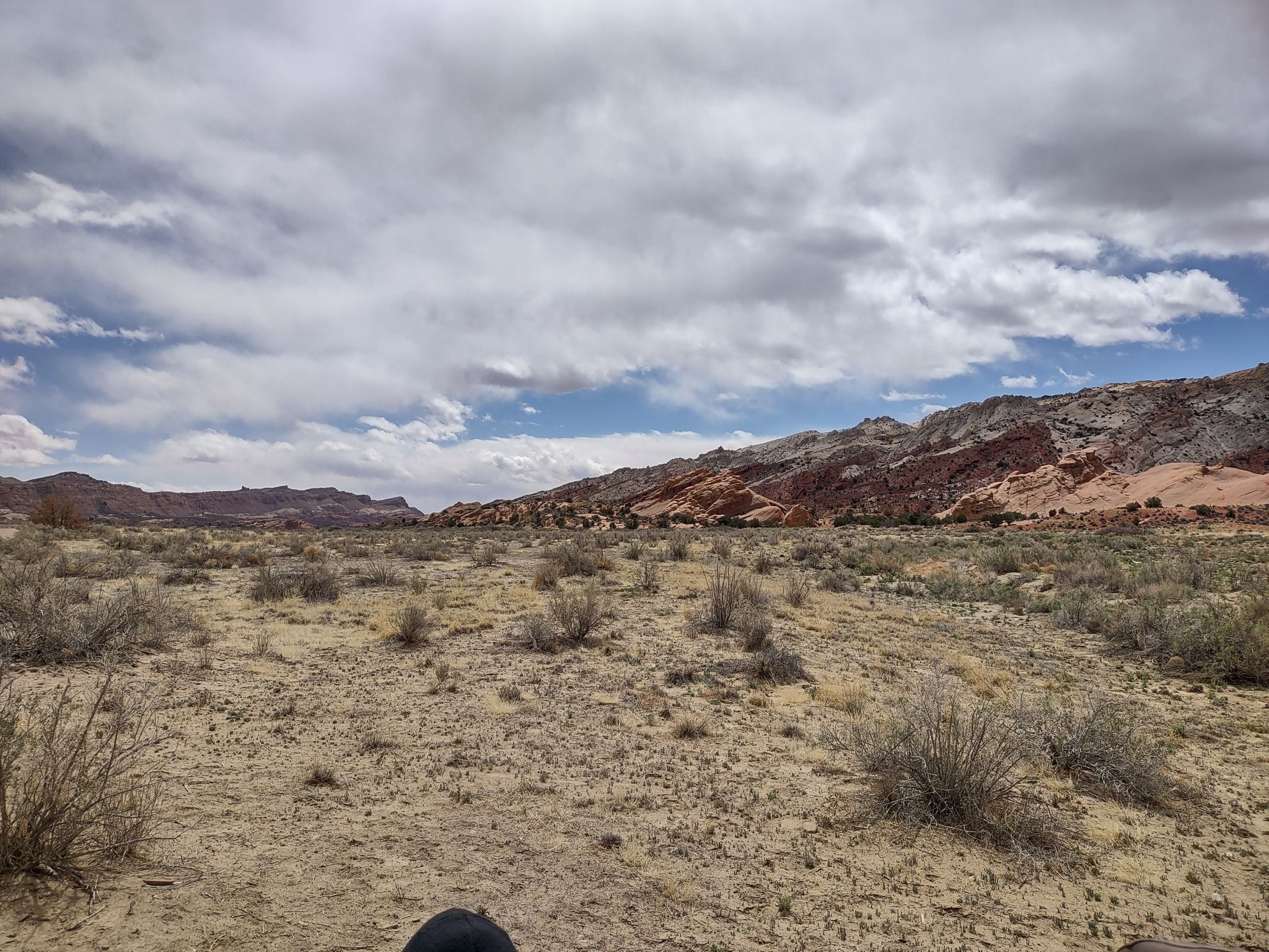 Arid desert landscape with sparse bushes and distant colorful mountains under cloudy sky. - Burr Trail OHV Road