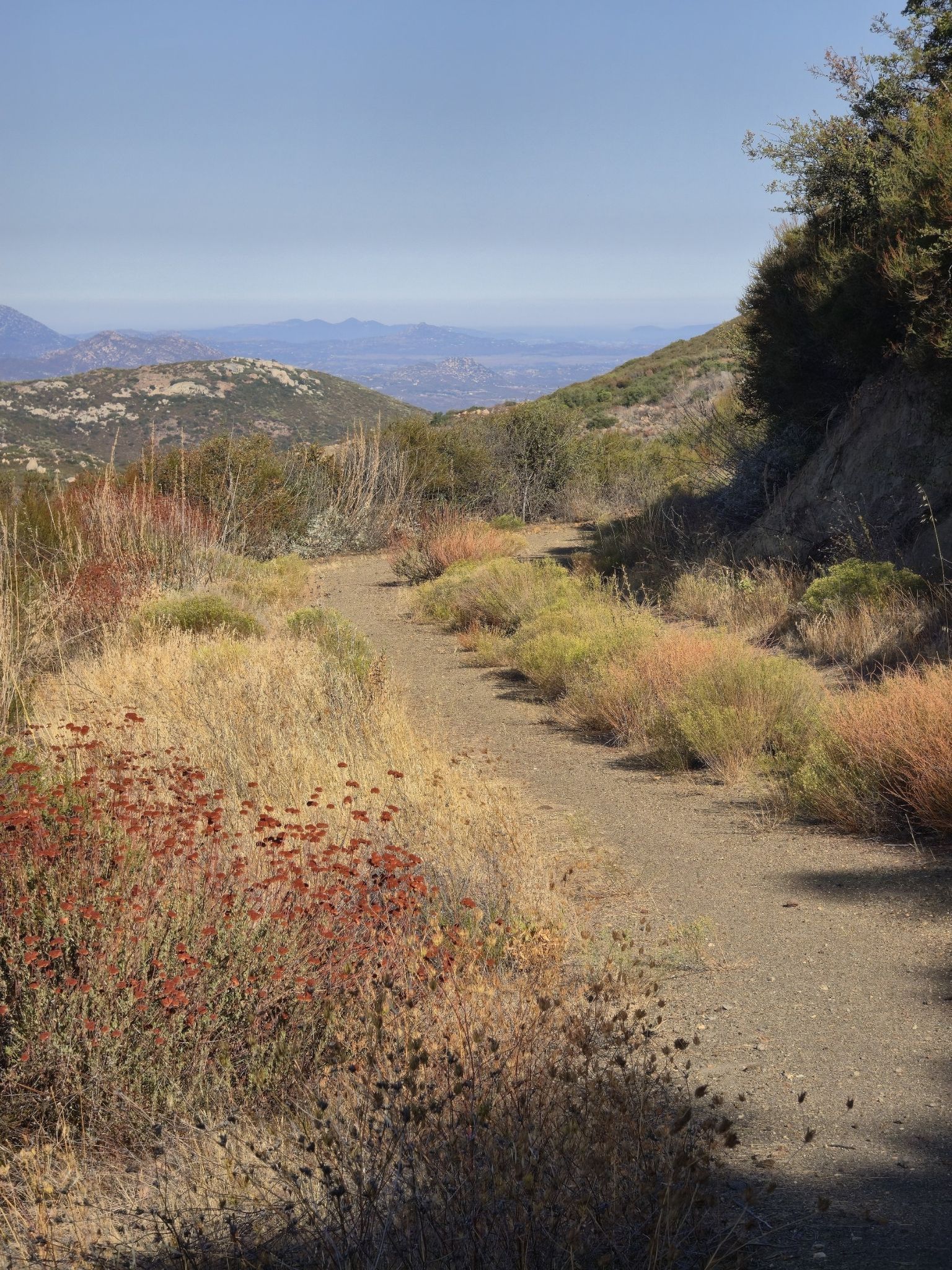 A sunny dirt path winds through dry, colorful brush with distant hills. - Green Valley Falls Loop – Cuyamaca Rancho State Park