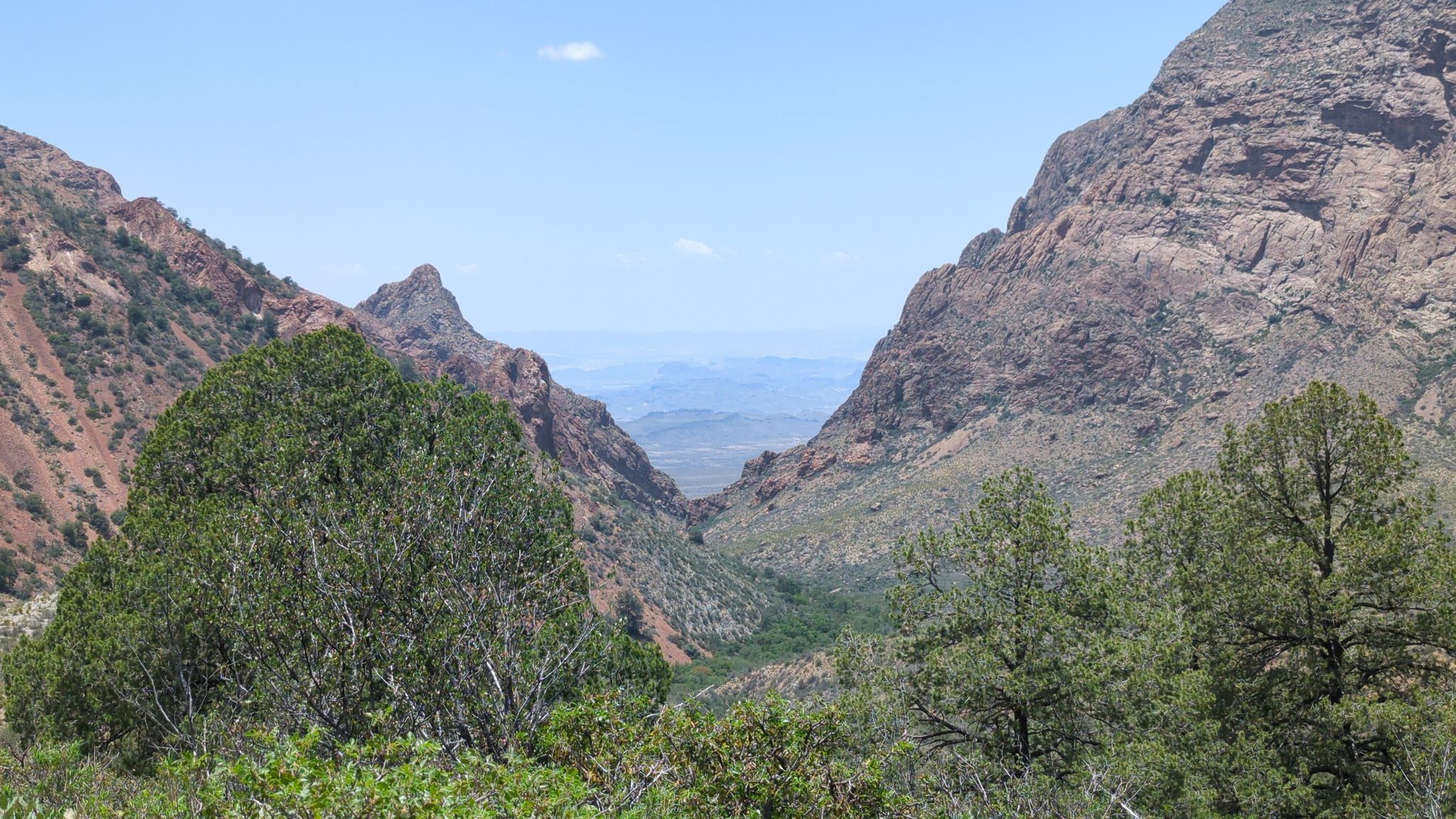 Bright daylight illuminates a mountain pass with green trees and distant hazy peaks. - Emory Peak Loop via Pinnacles and Laguna Meadow