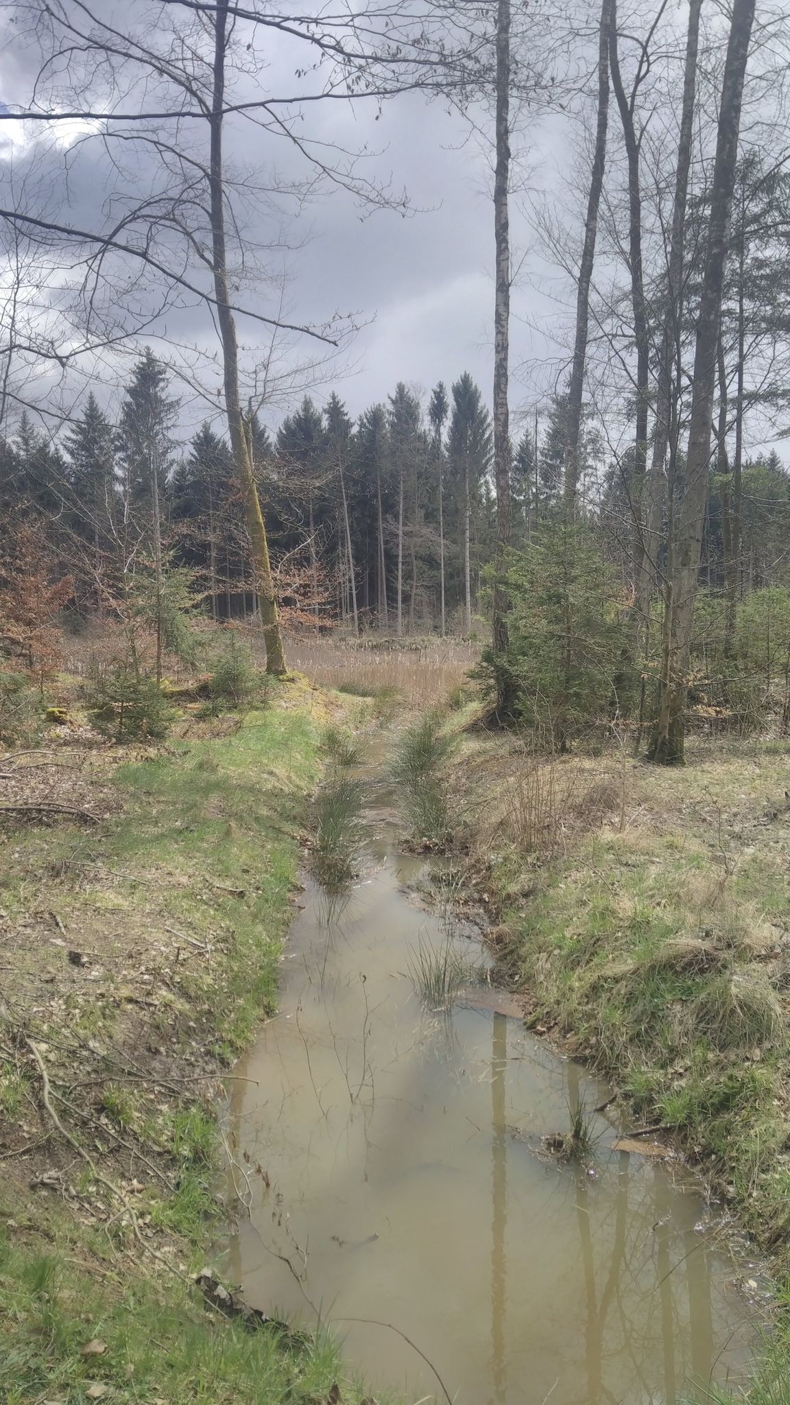 Hurlachsee