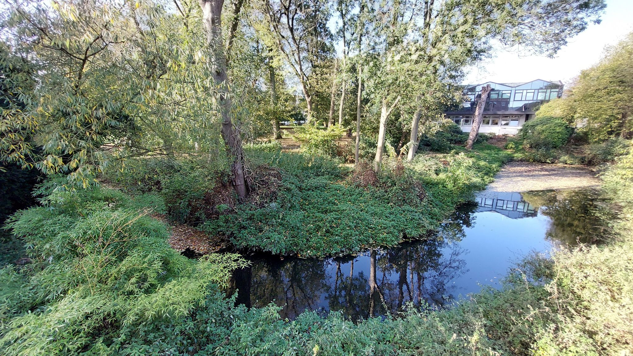 Schlossgraft