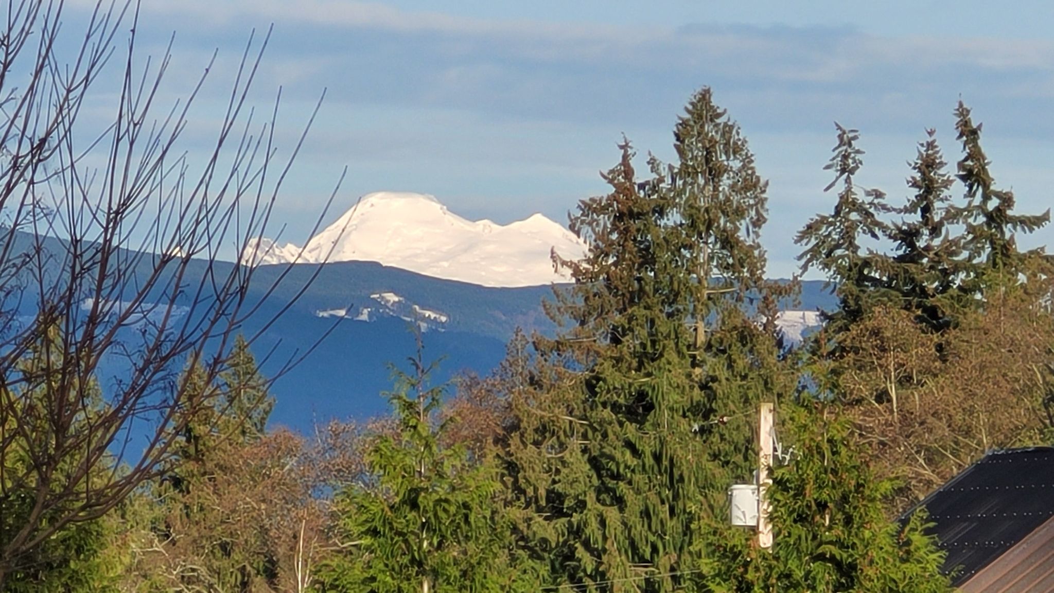 close up of Mount Baker from Fir Street