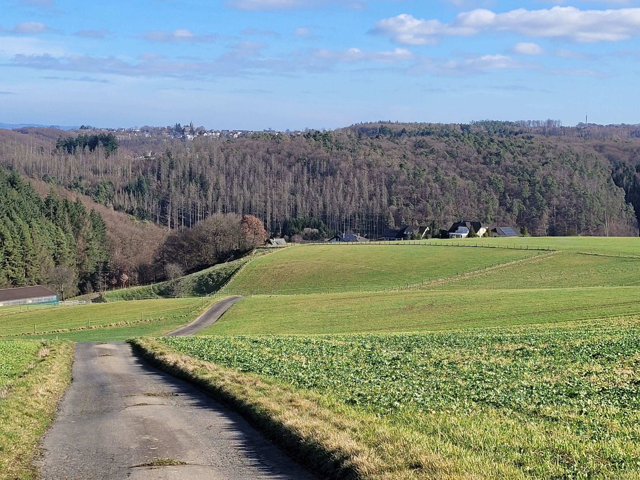 Auf dem Weg nach Obersteinebach