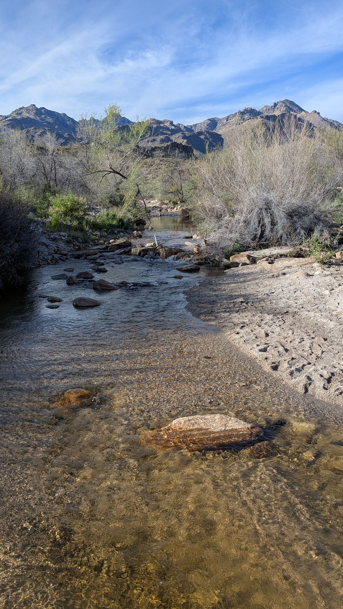 Clear stream flowing over rocks in a desert riverbed under a bright blue sky. - Sabino Falls – Sabino Canyon Creek Crossing loop from Ventana Shadows