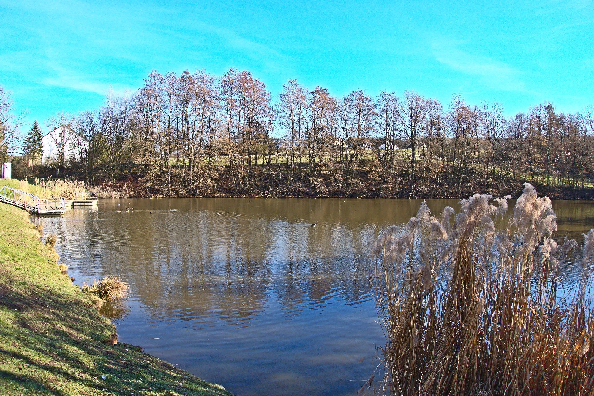 Am Sylvanersee im Bamberger Stadtteil Gaustadt