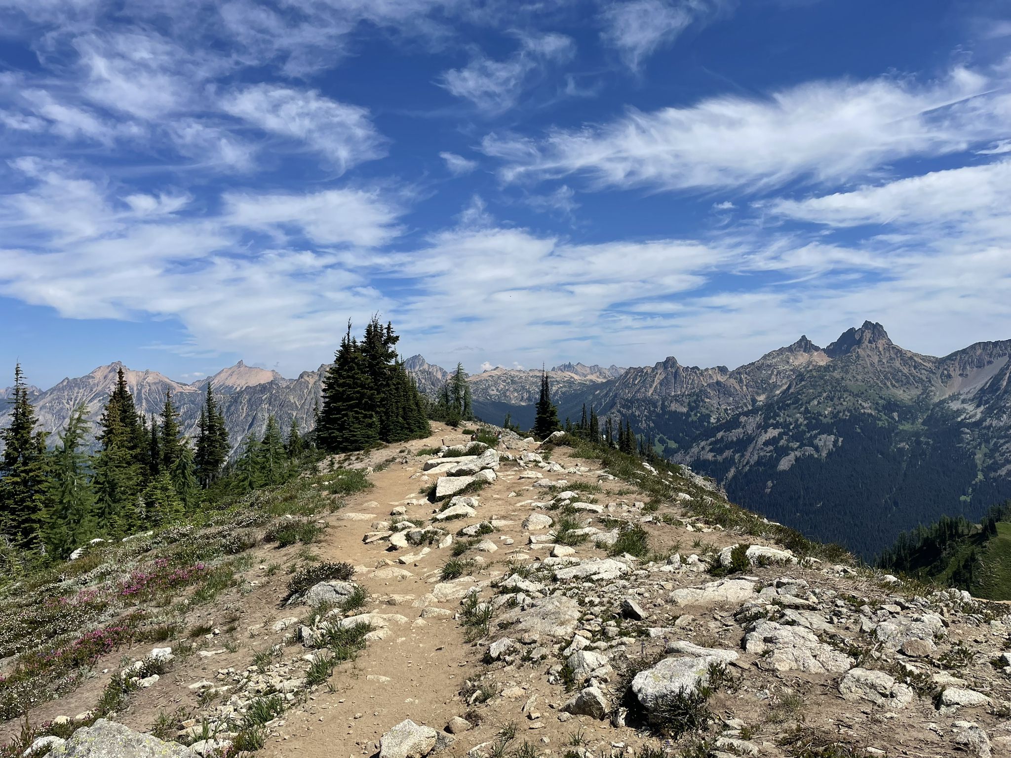 Rocky trail on a ridge with evergreen trees and distant mountains under a blue sky. - Maple Pass Loop Trail