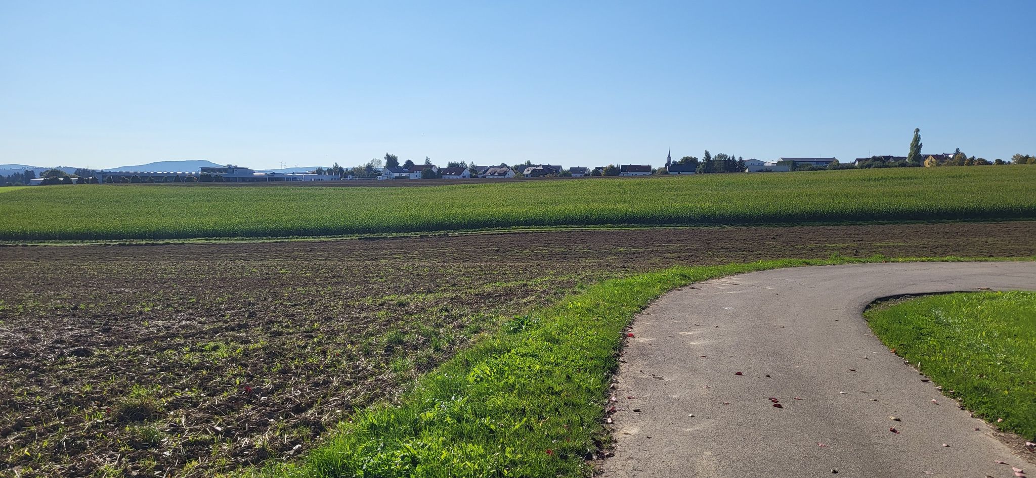 Blick zurück Richtung Dauchingen