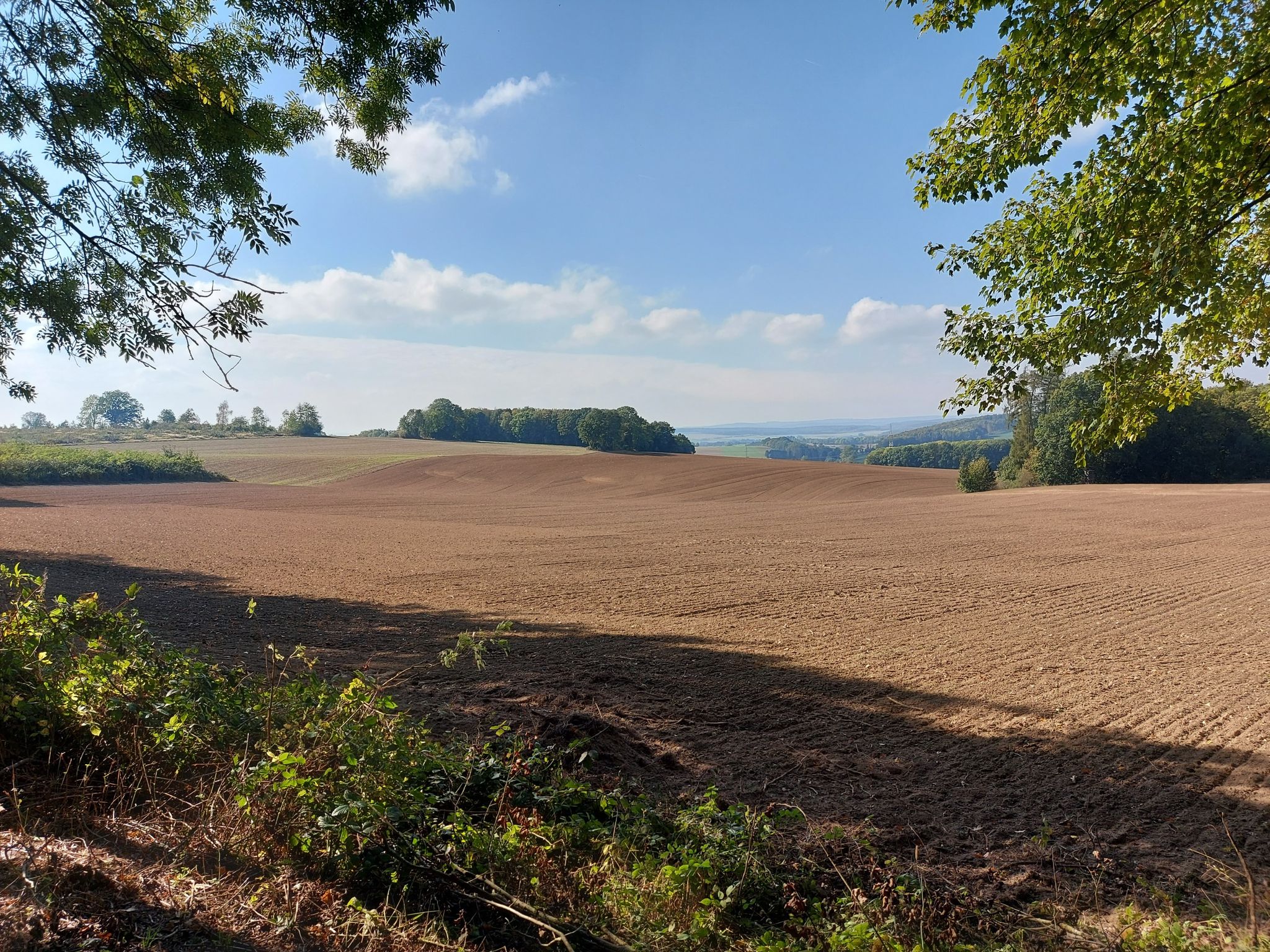 Was für eine Fernsicht 