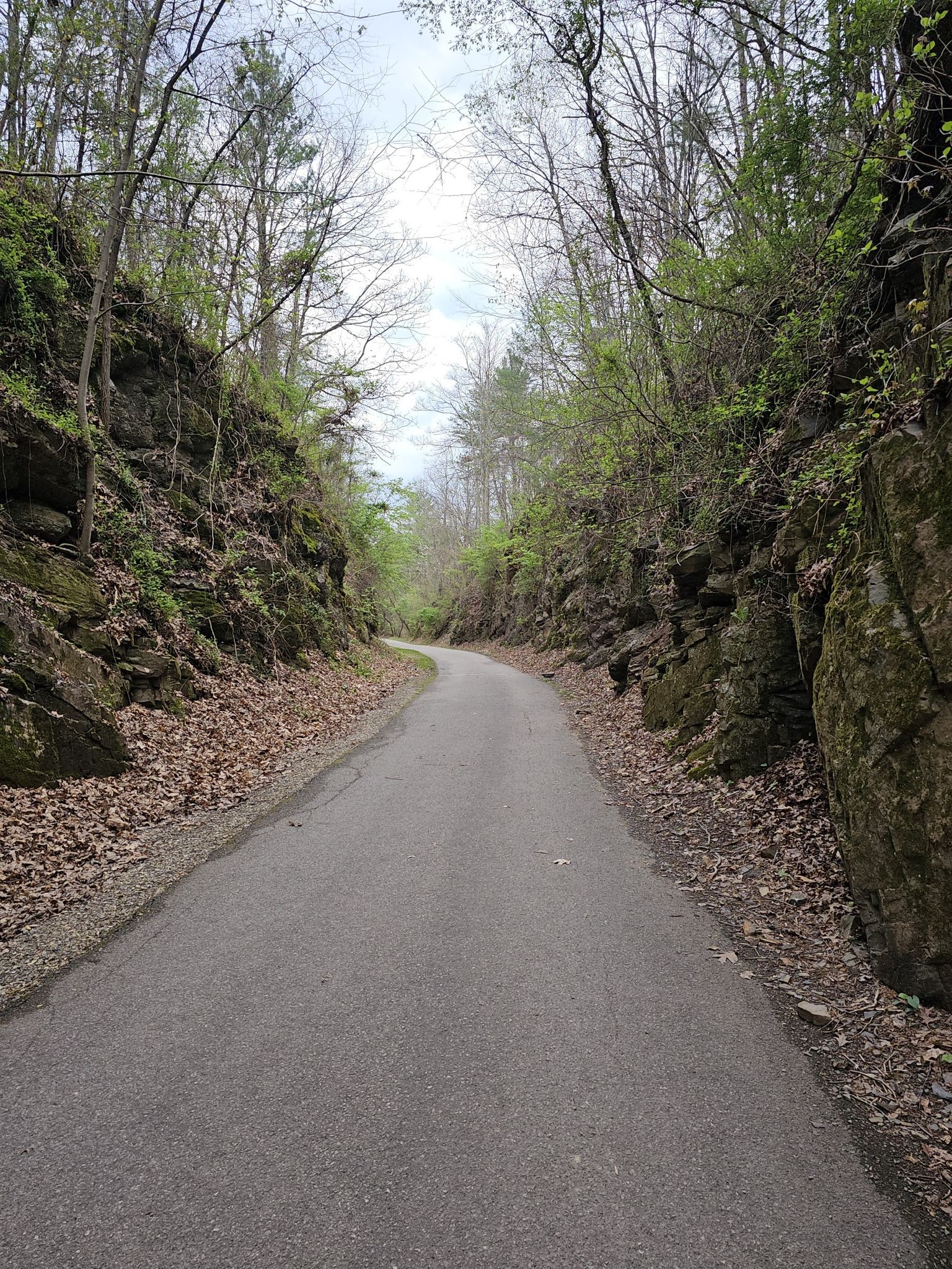 Winding paved path through a rocky, tree-lined gorge under an overcast sky. - Train Bridge loop from Mid-County Park