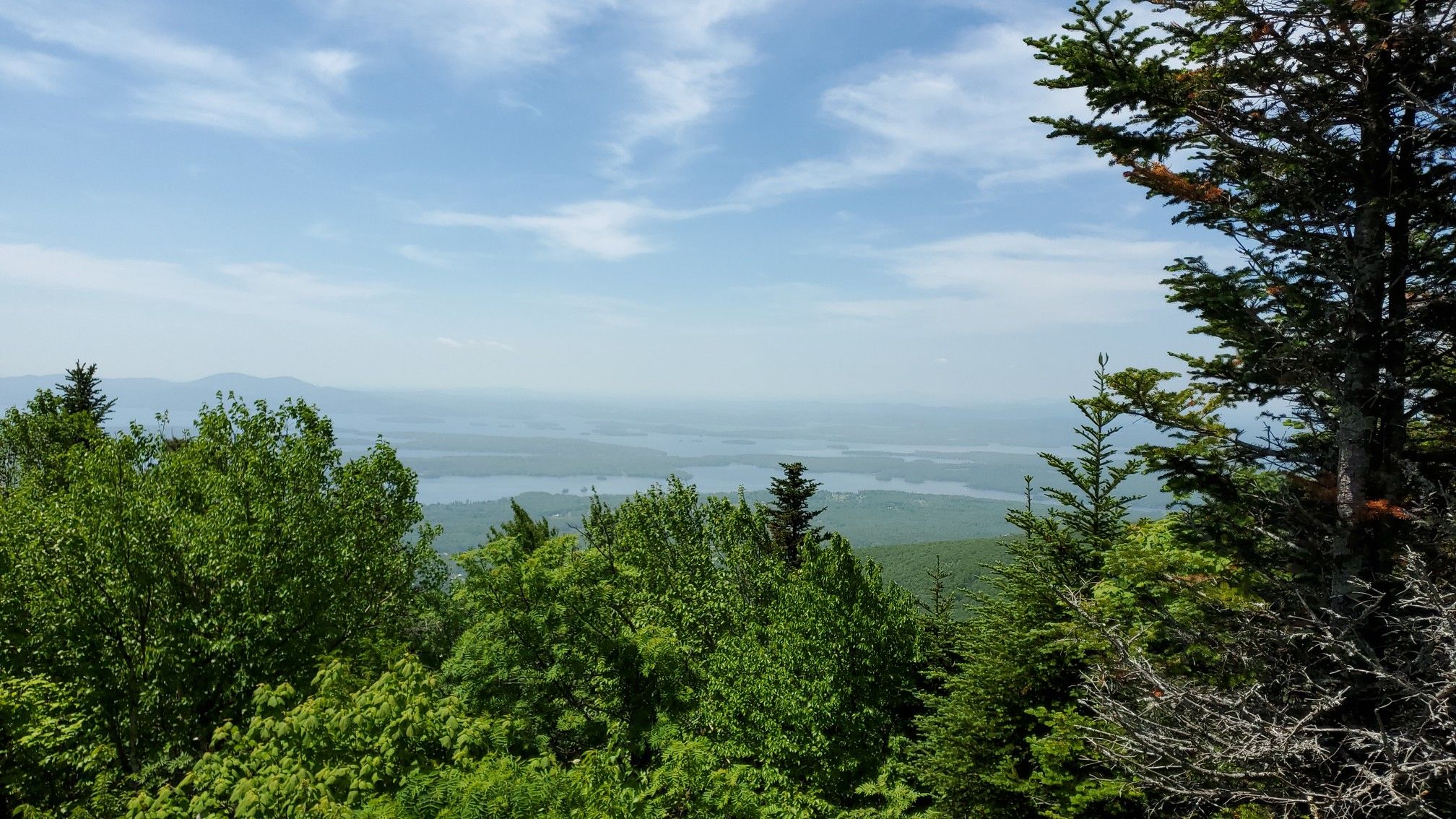 Panoramic view of a distant lake and hazy mountains through green forest. - Mount Shaw and Black Snout Loop