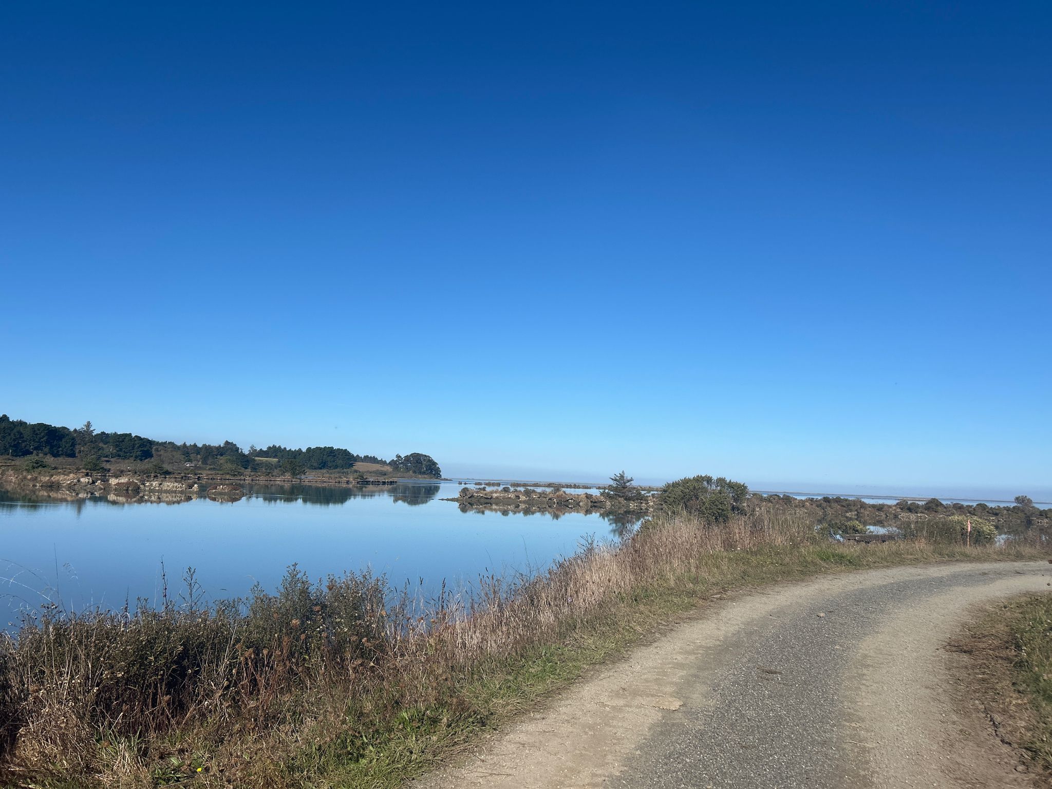 Sunny day with a calm river beside a dirt path, under a clear blue sky. - Shorebird Loop Trail