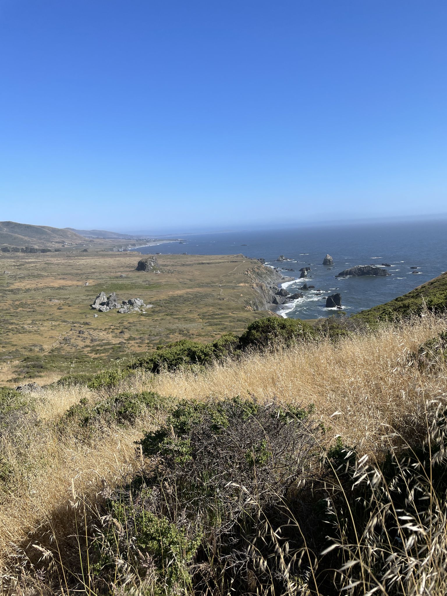 Wide coastal view with ocean, sea stacks, and green hills under clear sky. - Kortum Trail