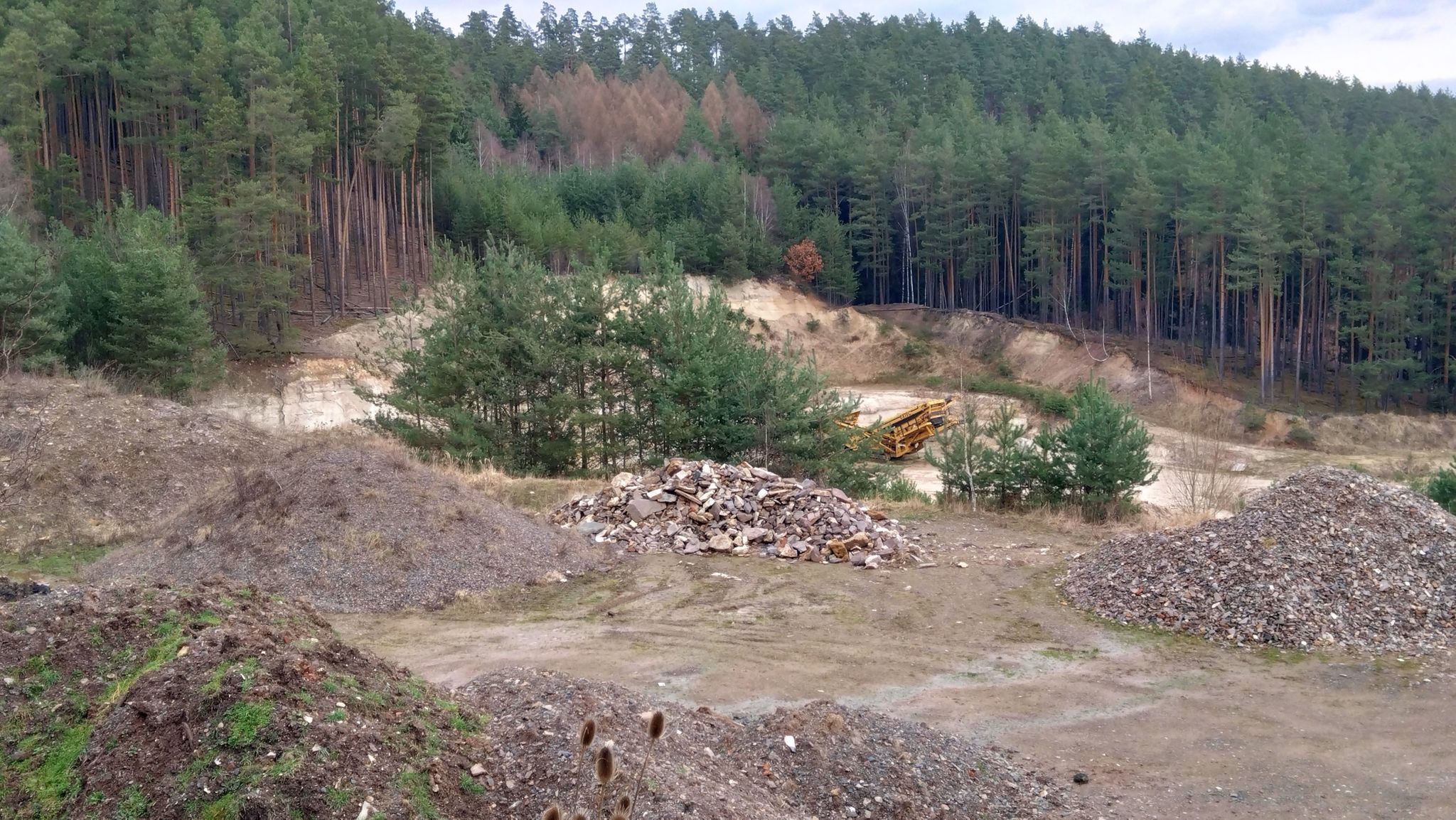 kleine Sandgrube