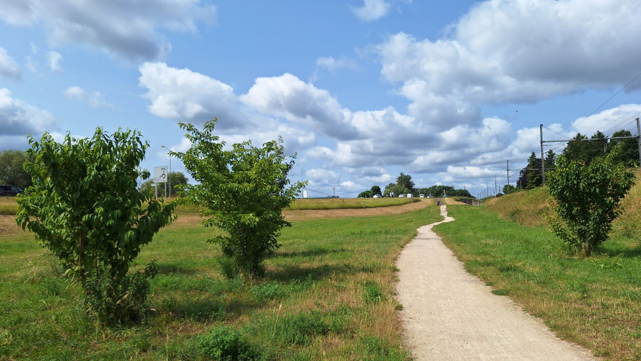 Wandelpad langs de oever