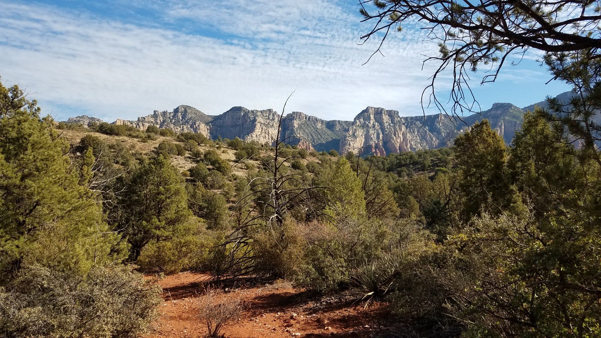 Rugged rocky mountains rise above a dense green forest under a cloudy sky. - Hogs – MTB Trails in Sedona