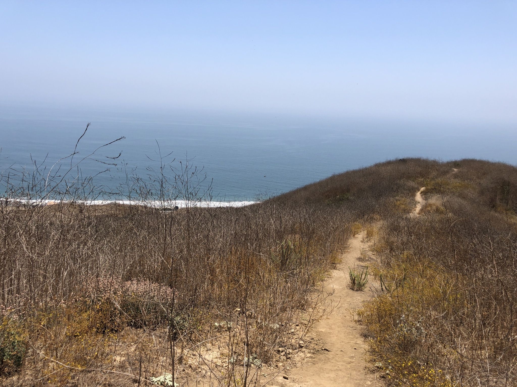 A winding dirt path leads over dry hills towards a bright blue ocean. - Corral Canyon to Backbone Trail