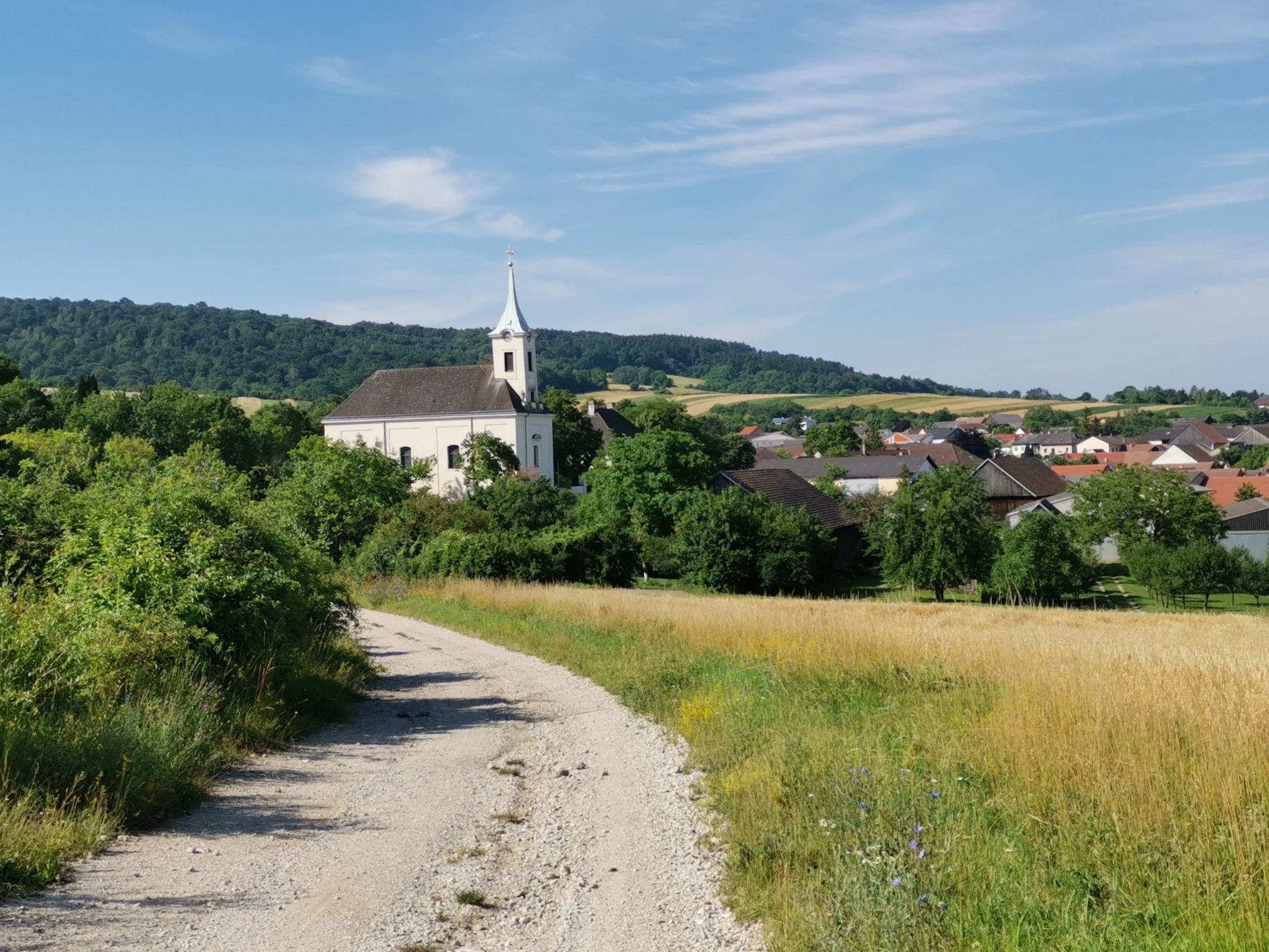Haselbach