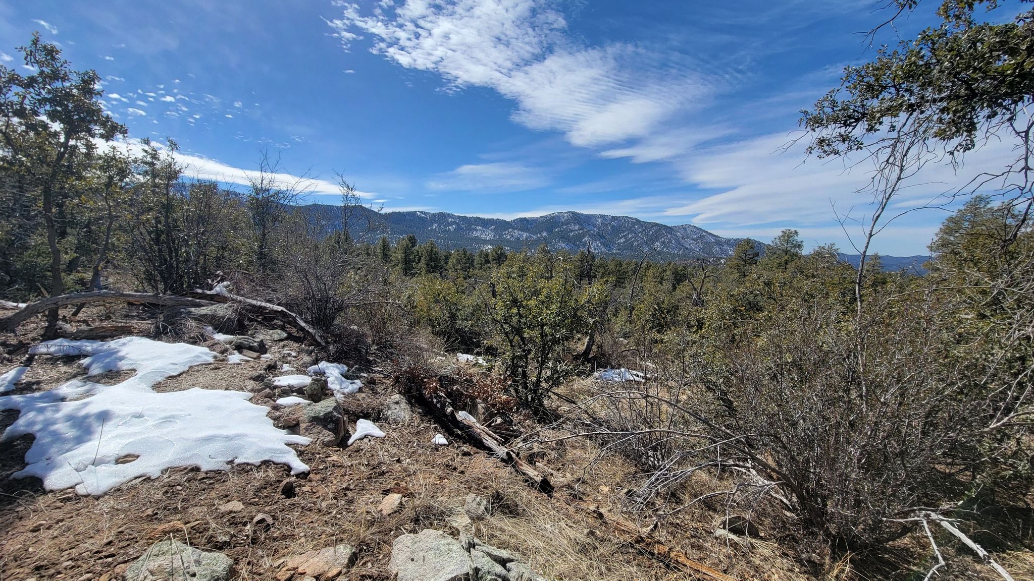 Snowy ground in a forest with distant mountains under a blue sky. - Groom Creek Loop Trail #307