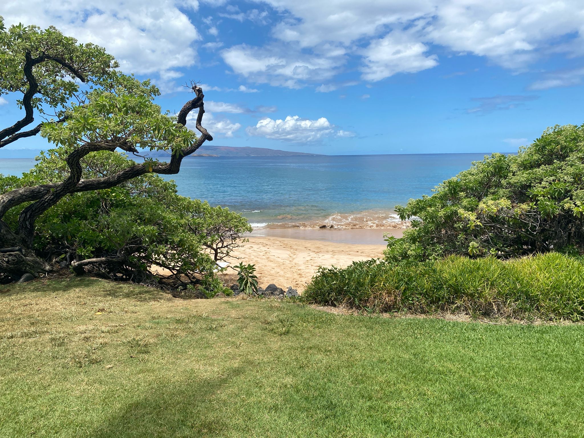 Green lawn and trees framing a small sandy beach and blue ocean. - Keawakapu Beach – Keawakapu Beach loop from Kamaole Shopping Center (northbound)