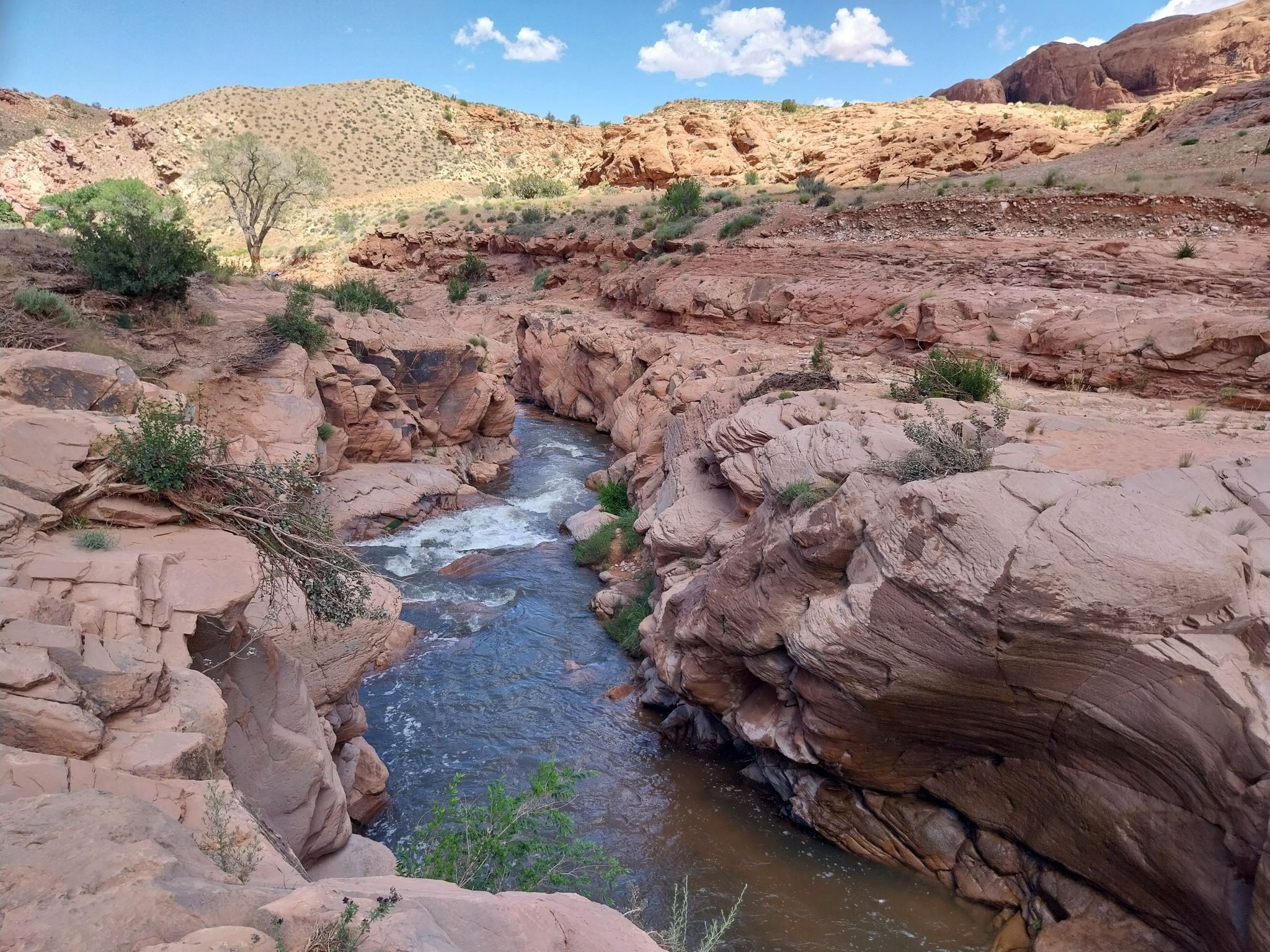 Clear stream flowing through a narrow canyon with red rock walls and green plants. - Mill Creek Trail