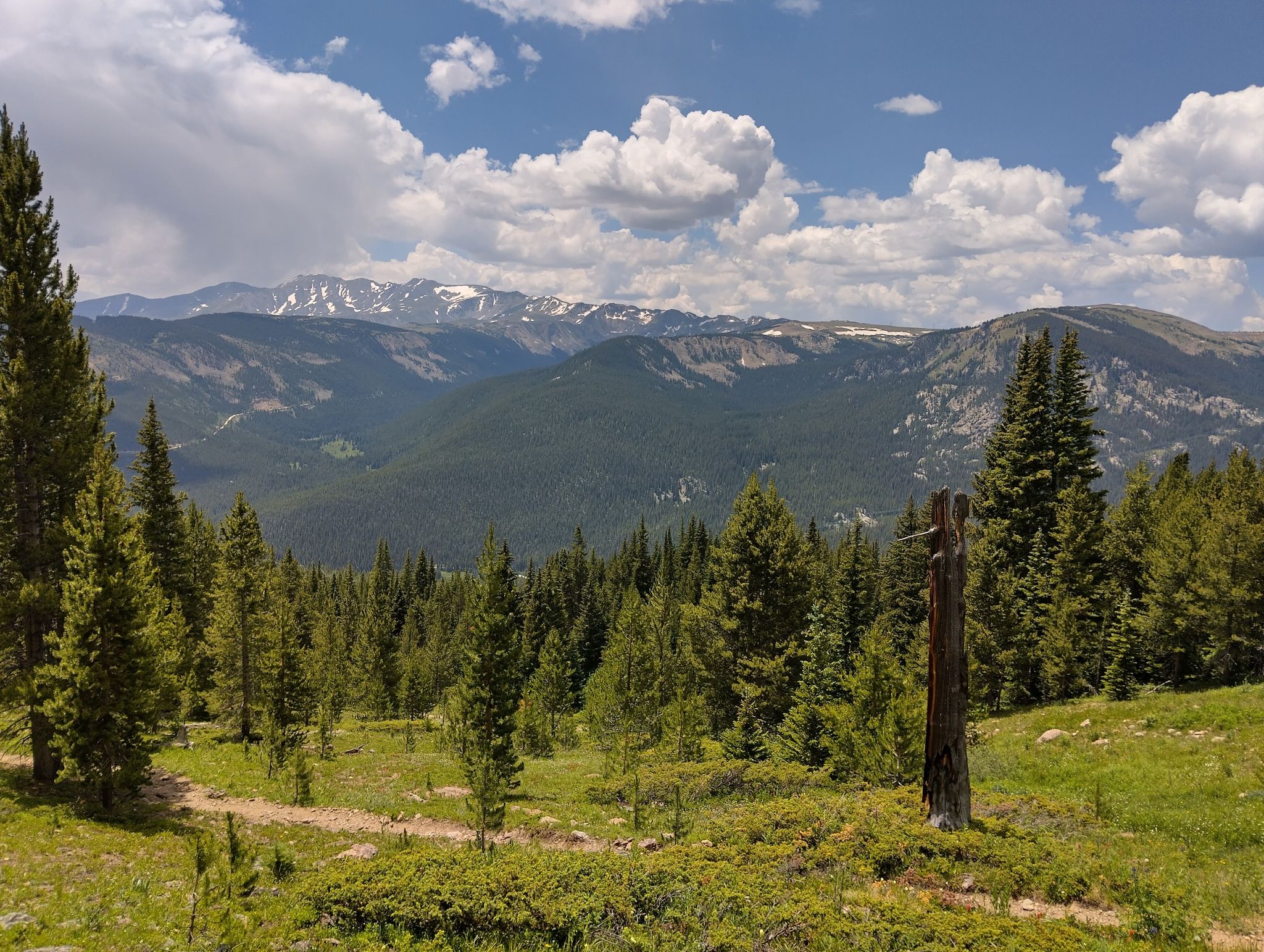 Vast mountain landscape with pine forests, distant snow-capped peaks, under a cloudy sky. - Lookout over Turquoise Lake – Bear Lake loop from CHARLES H. BOUSTEAD TUNNEL