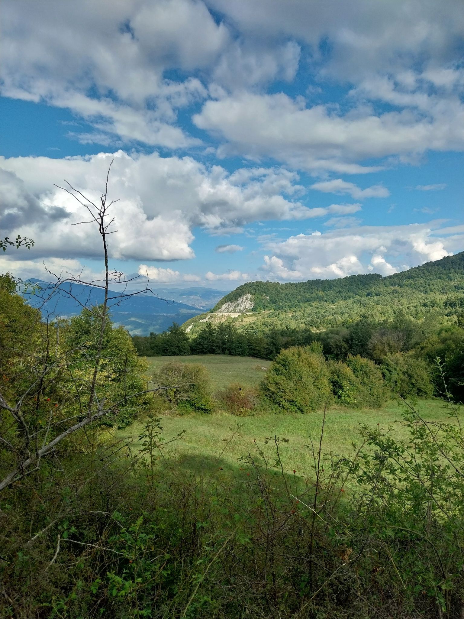 panorama
