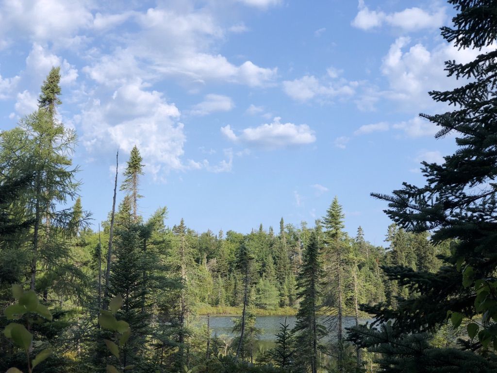 Dense evergreen forest frames a calm lake under a bright, partly cloudy sky. - Superior Hiking Trail: Cramer Road to Caribou Falls