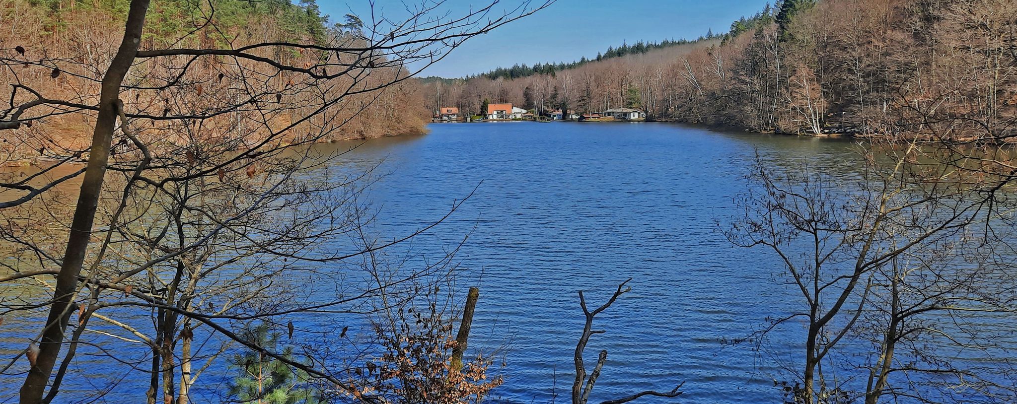 Seehofweiher bei Erlenbach ( in Privatbesitz )