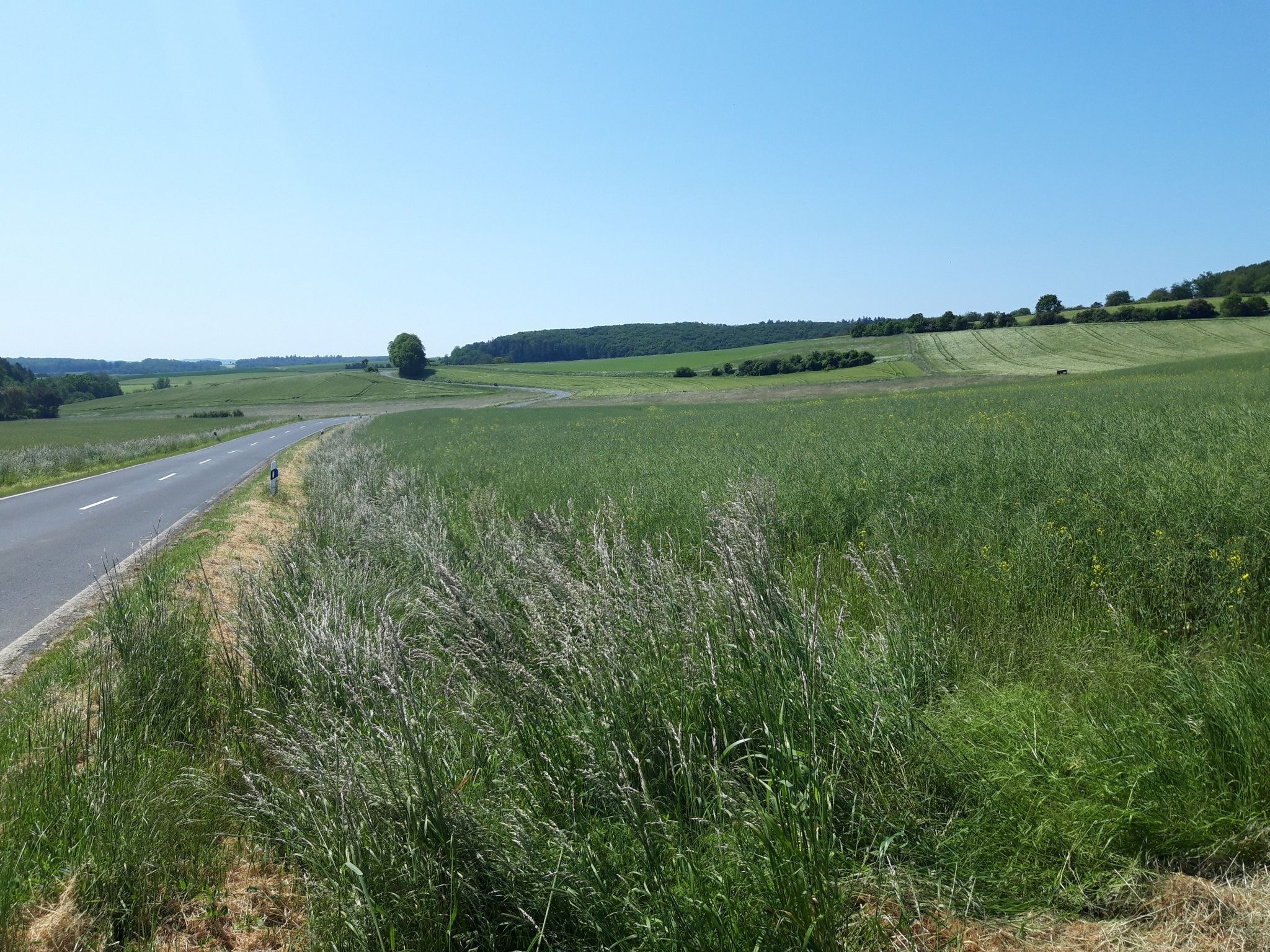 weites Land zwischen Allna und Kehna