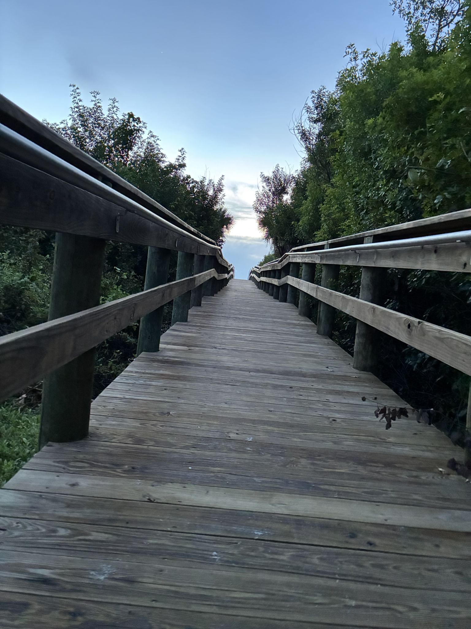 A wooden boardwalk leads through dense green foliage towards a bright sky. - Lori Wilson Park and Cocoa Beach