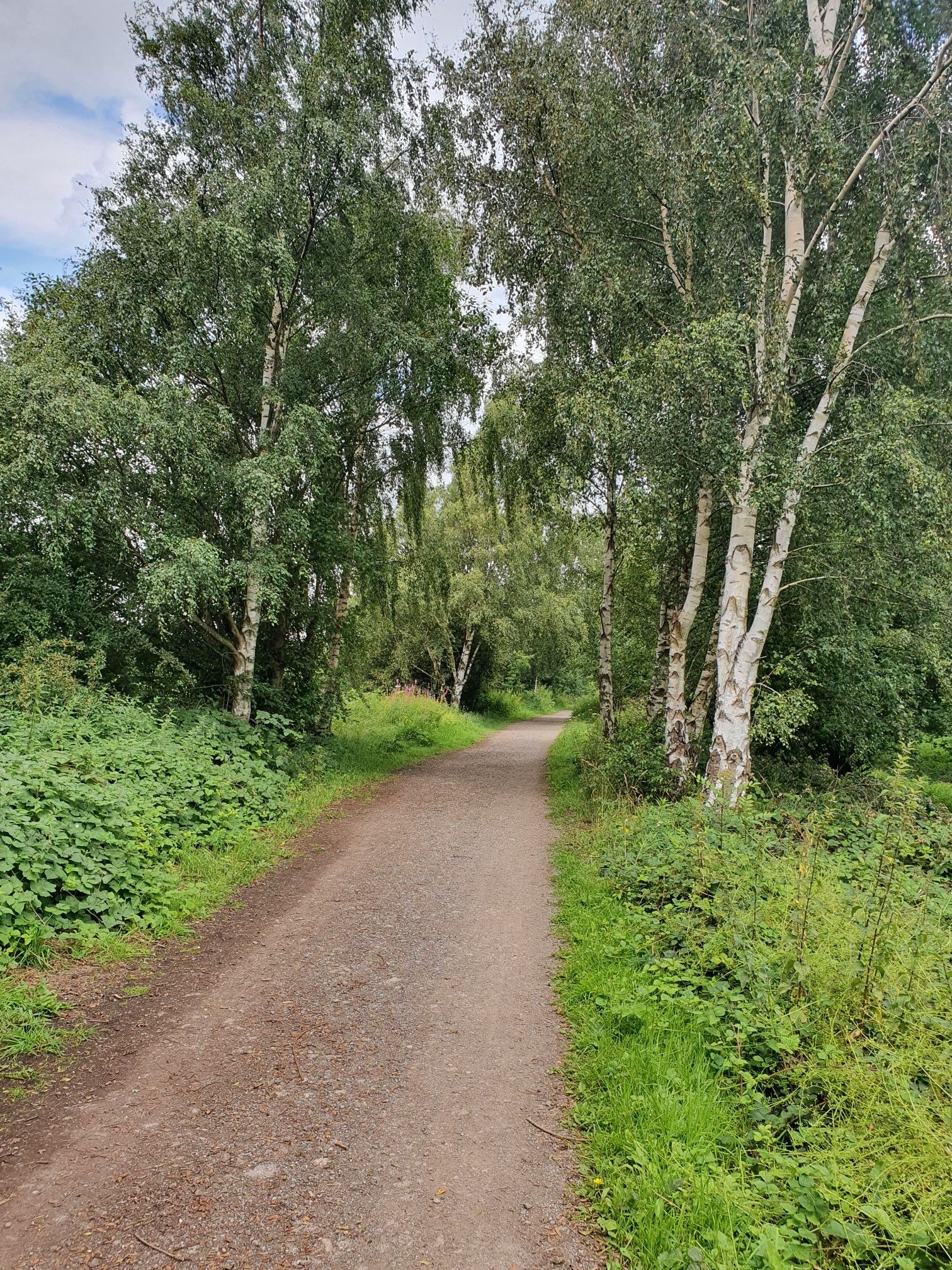 trans pennine trail