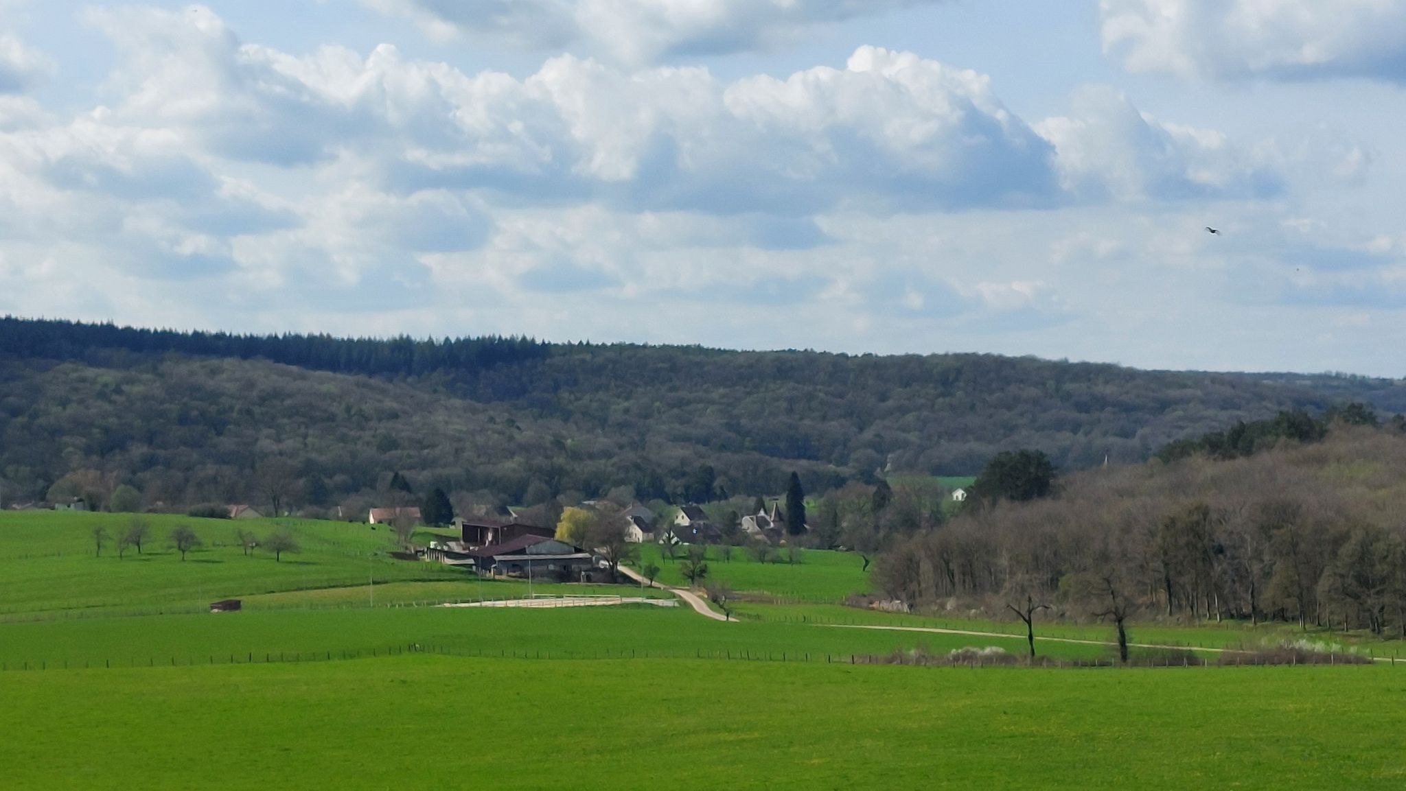 Fondremand