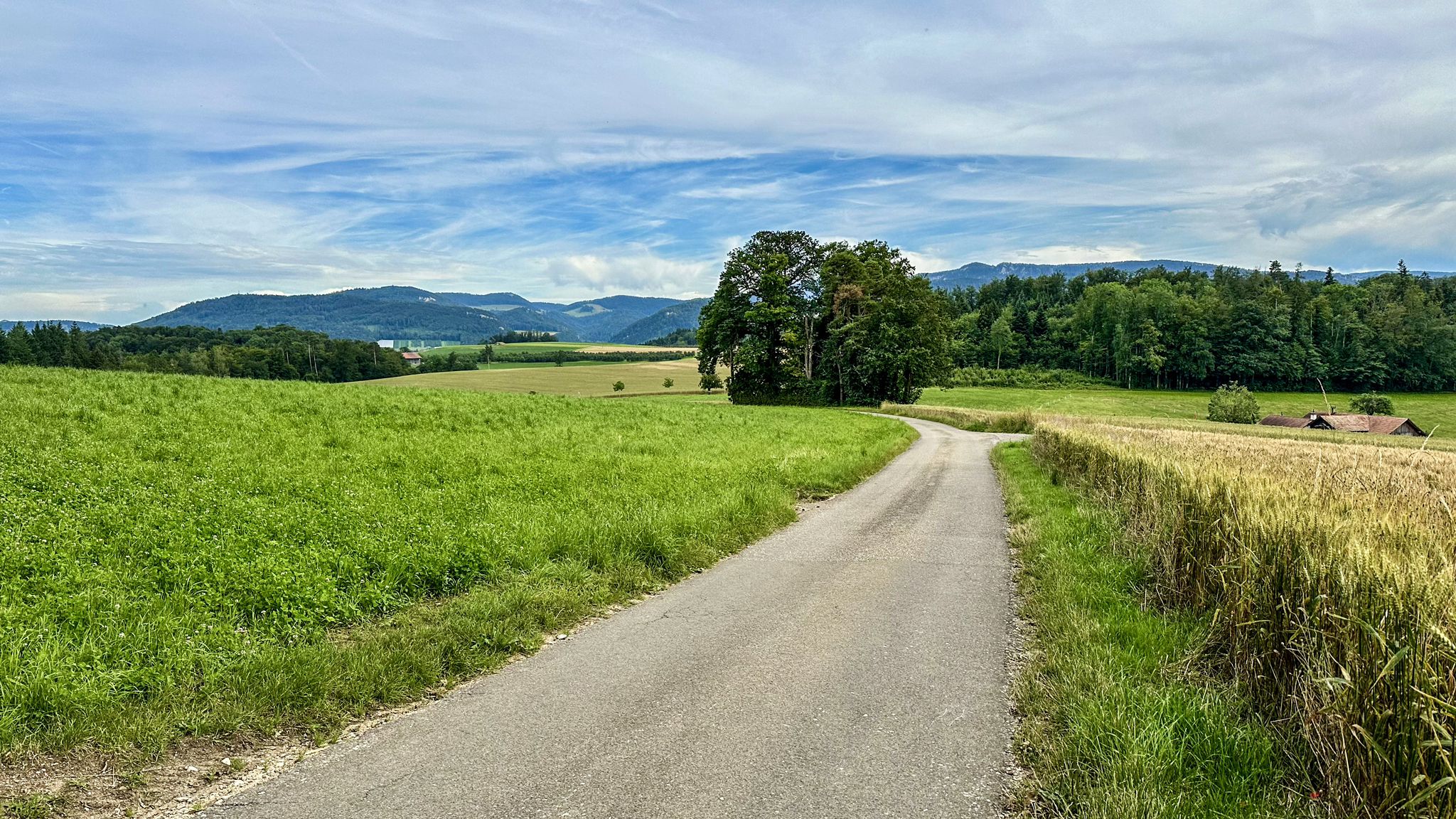 ...immer wieder schön über den Zunzgerberg zu fahren🤩...