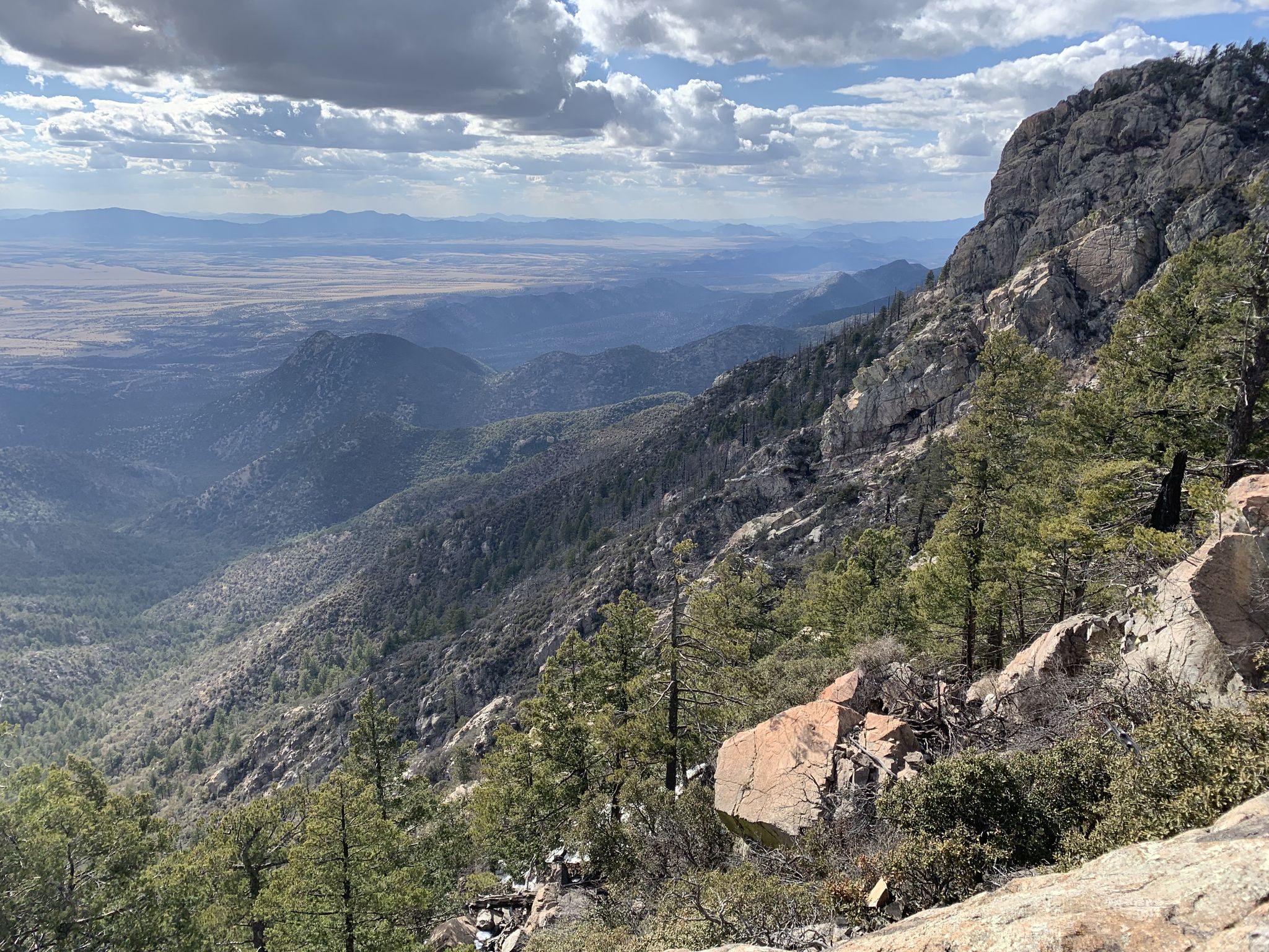Steep, rocky mountain slope with scattered pines overlooking a distant valley. - Montezuma Pass – Miller Peak loop from Miracle Valley