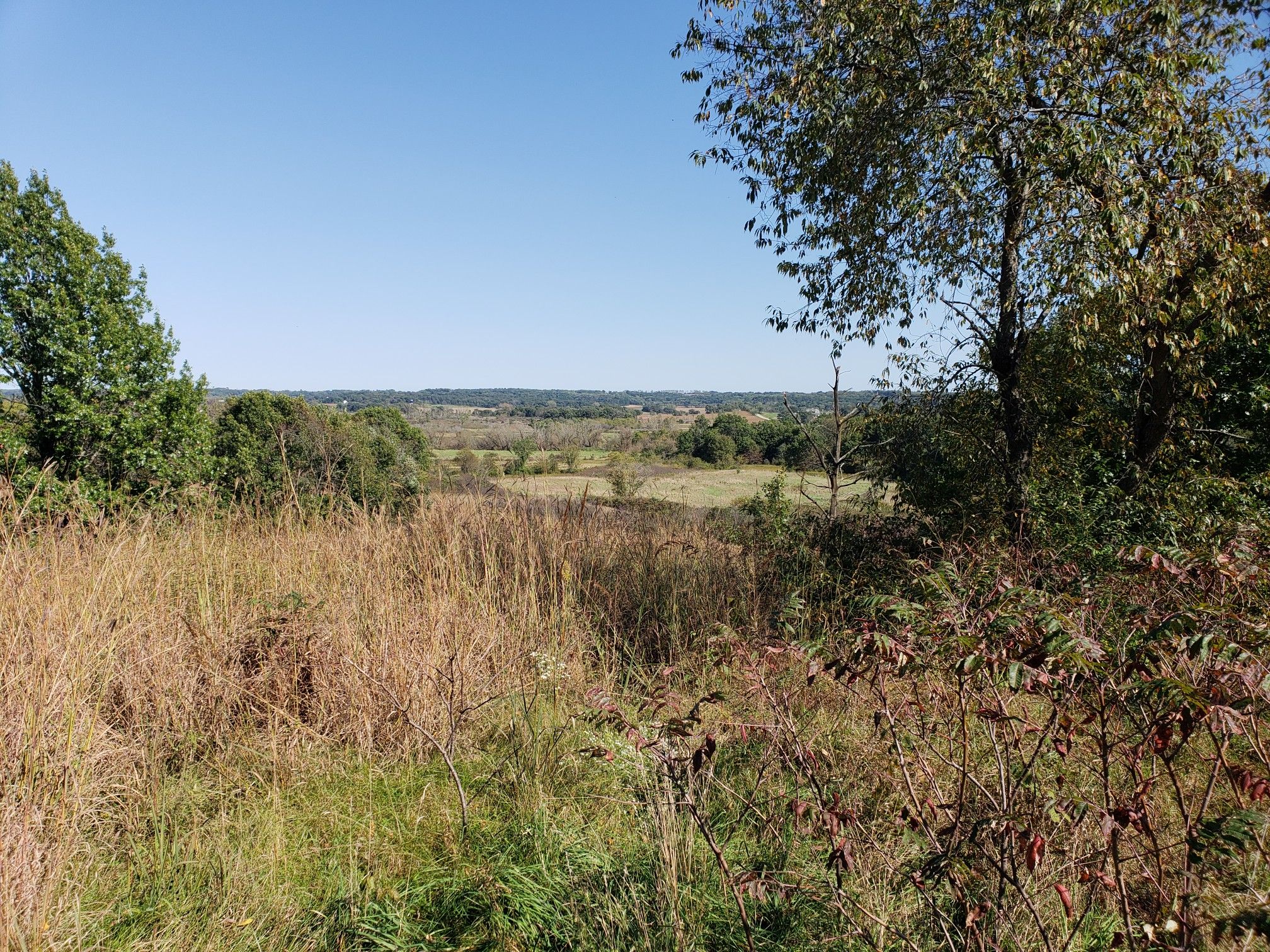 Overgrown field with trees overlooking a distant valley under a clear sky. - Ice Age Trail: Brooklyn Wildlife and Montrose Segments