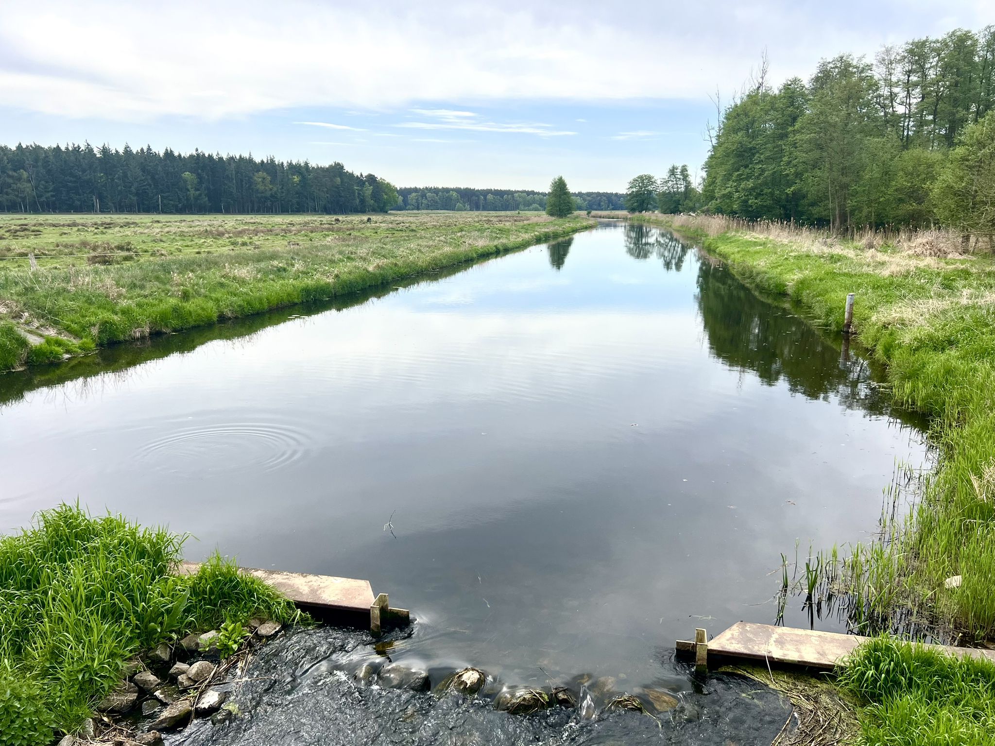 Das Flüsschen Zarow