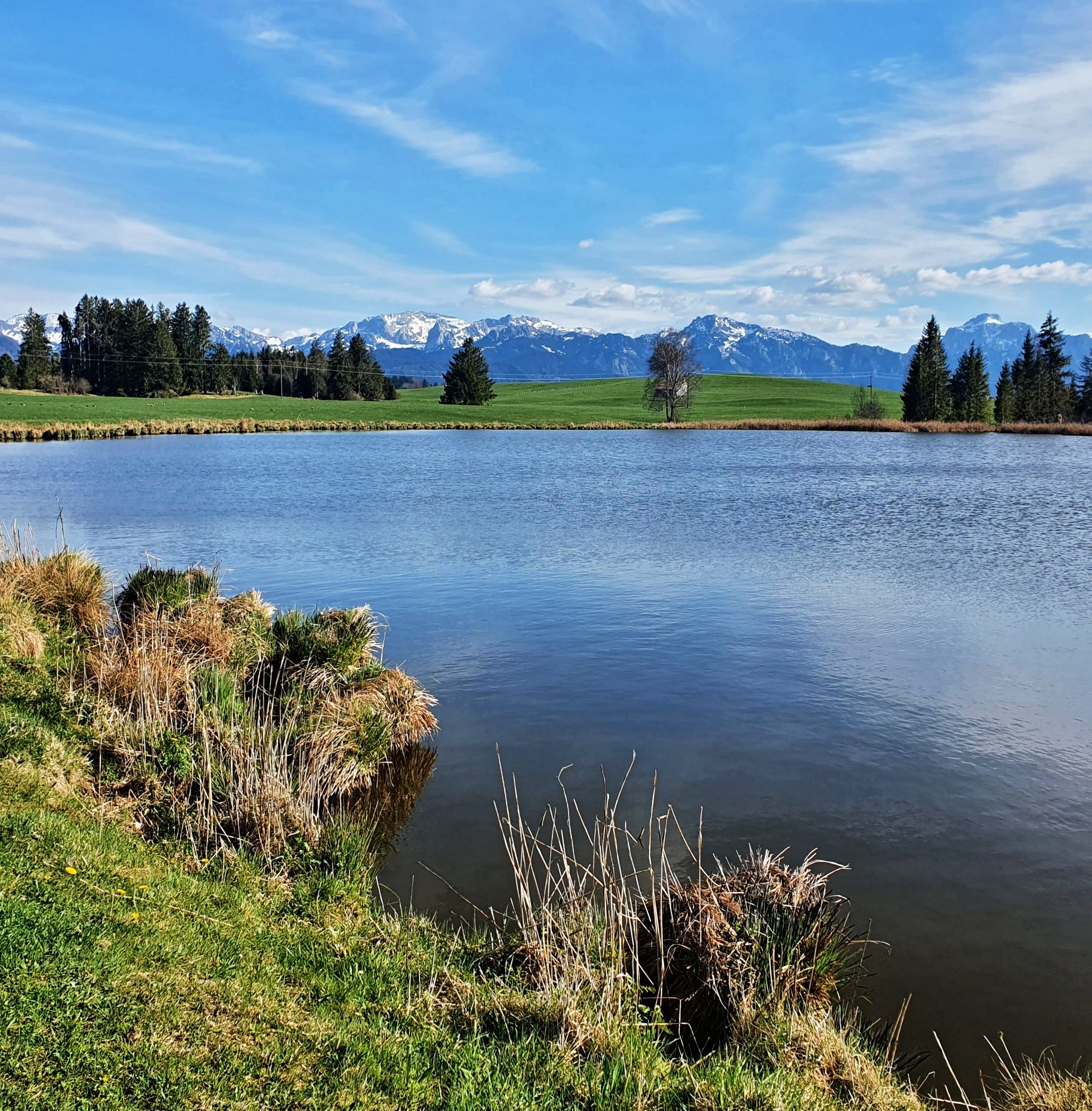 Blick übern Huttlerweiher zur Hochplatte und Krähe