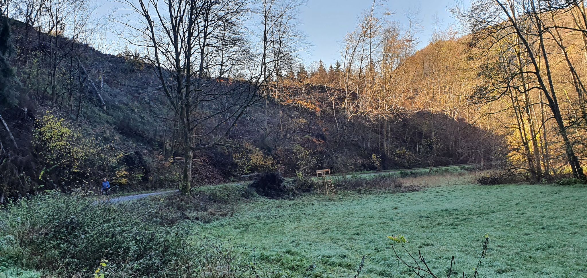 Aber das Fokenbachtal ist schweinekalt
