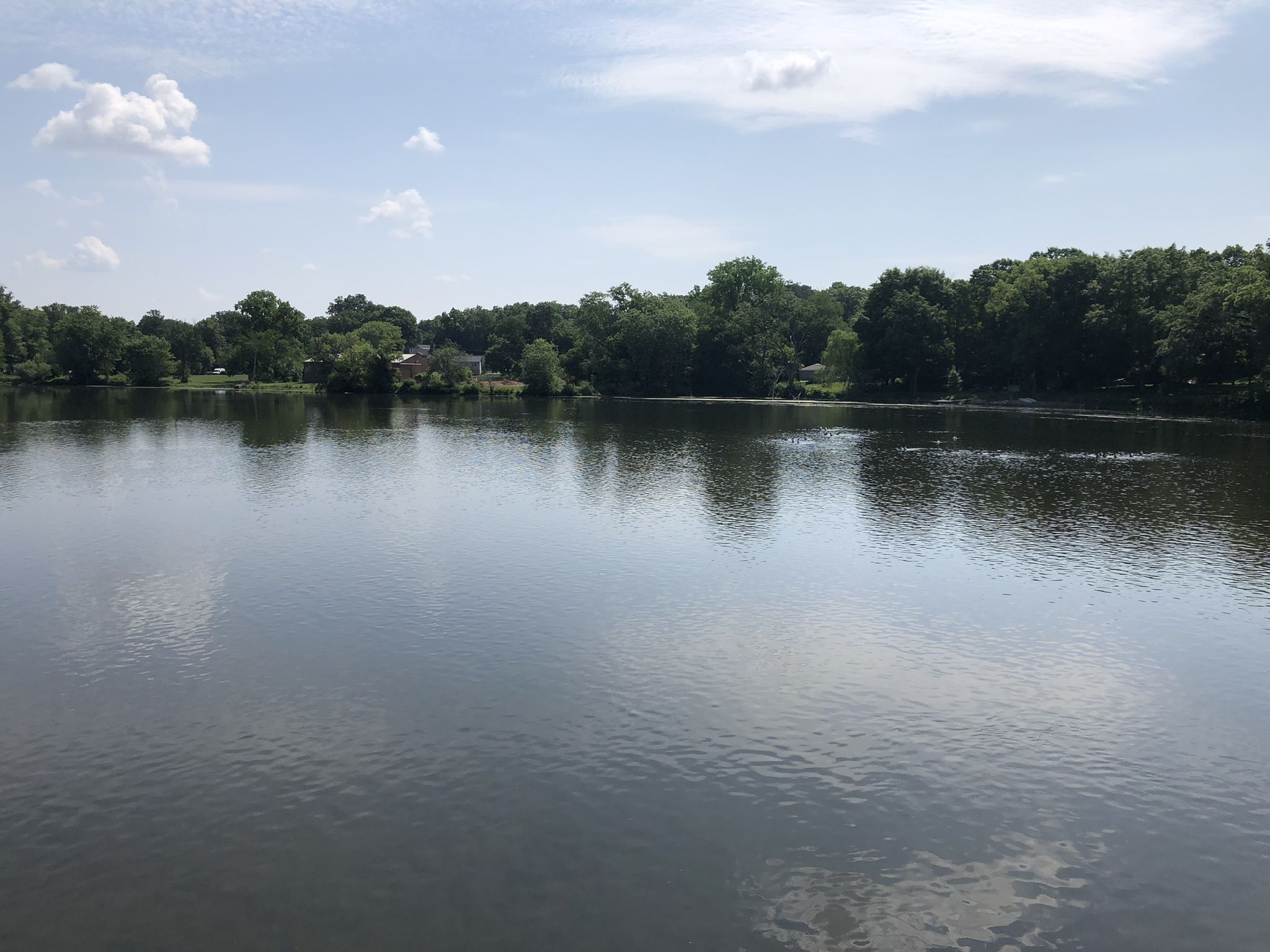 A wide, calm body of water with distant trees and buildings under a bright sky. - Bridge over Fox River – Norton Woods loop from St. Charles Township
