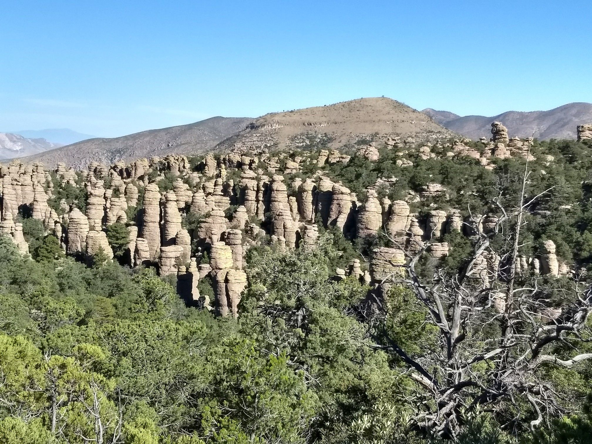 Extensive rock formations and green trees under a clear blue sky. - Heart of Rocks from Echo Canyon Trailhead