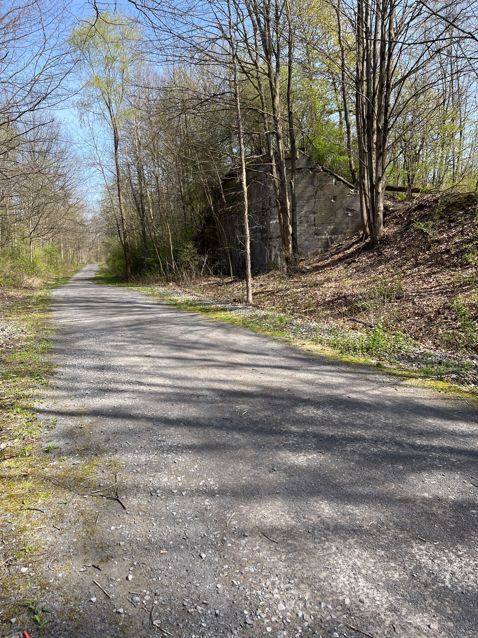 Shaded gravel path through a forest with tall trees and a stone wall. - Victor trailhead – Old rock building loop from Bushnell's Basin Park and Ride Lot