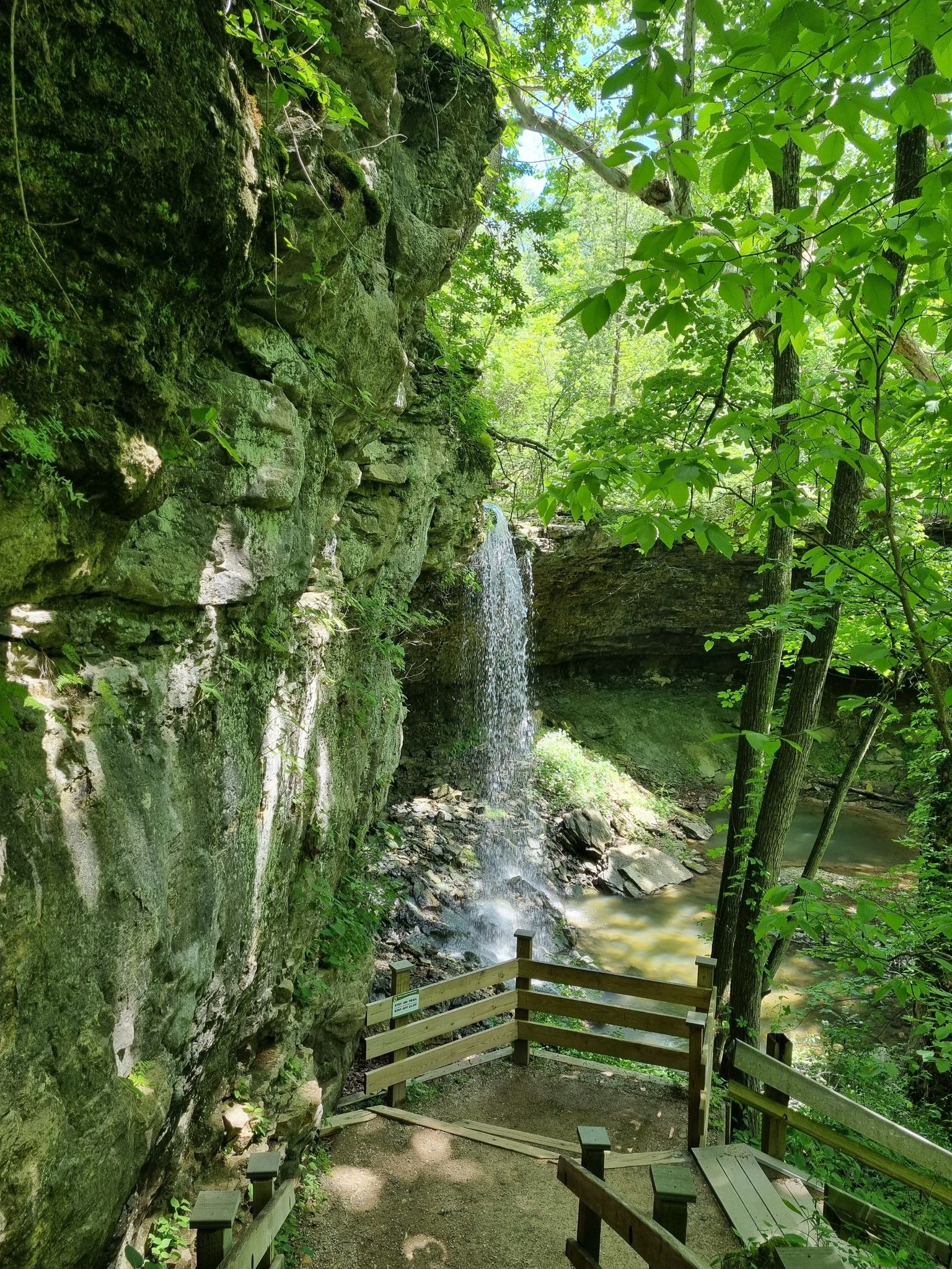 A waterfall cascades over a mossy cliff next to a wooden viewing platform. - Locust Grove Trail loop