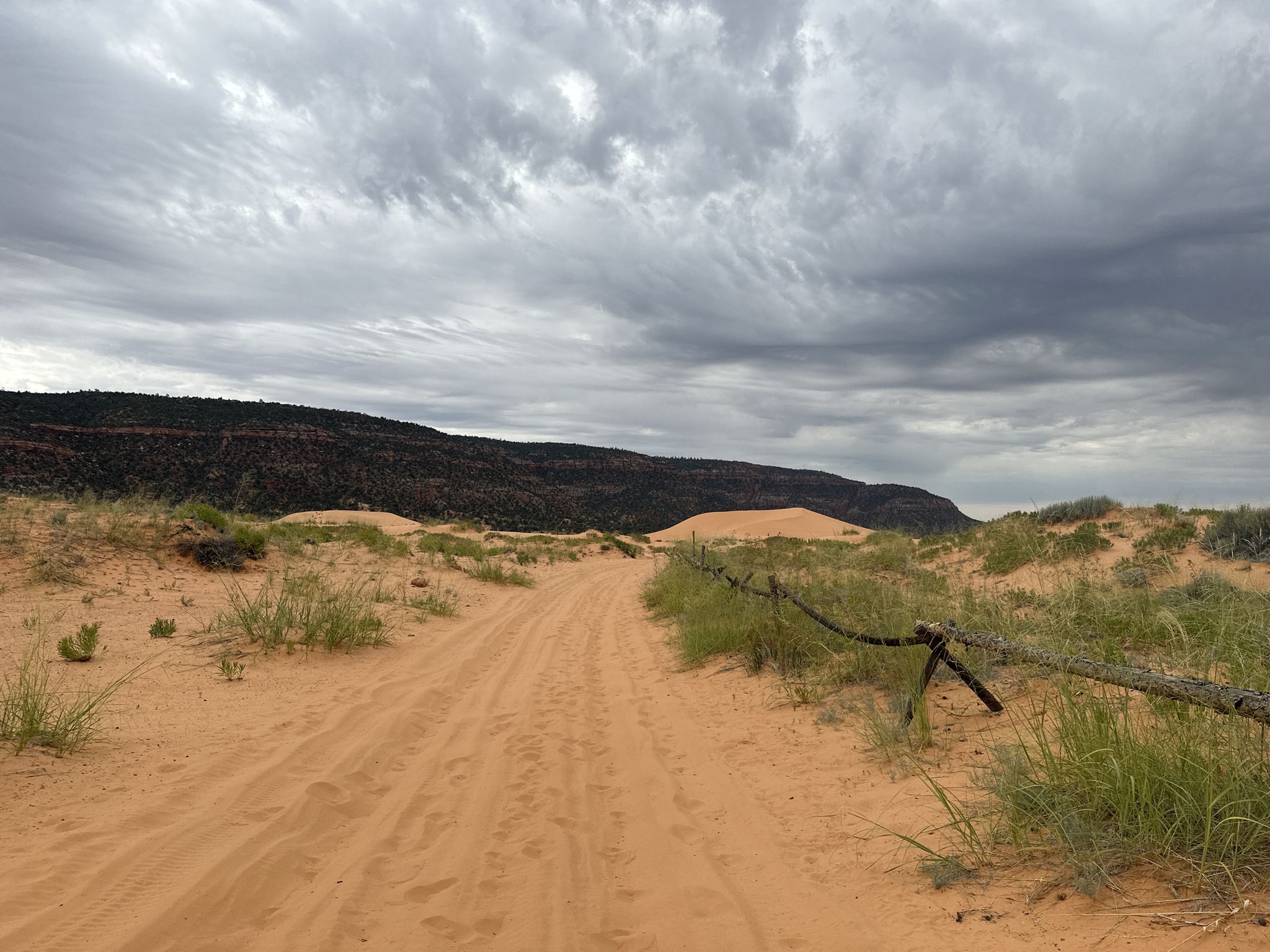 A dirt path through orange sand dunes with a rope fence under a cloudy sky. - Dune Access Road