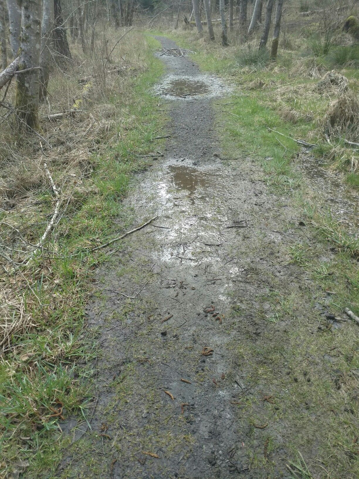 3 areas redo gravel60 '