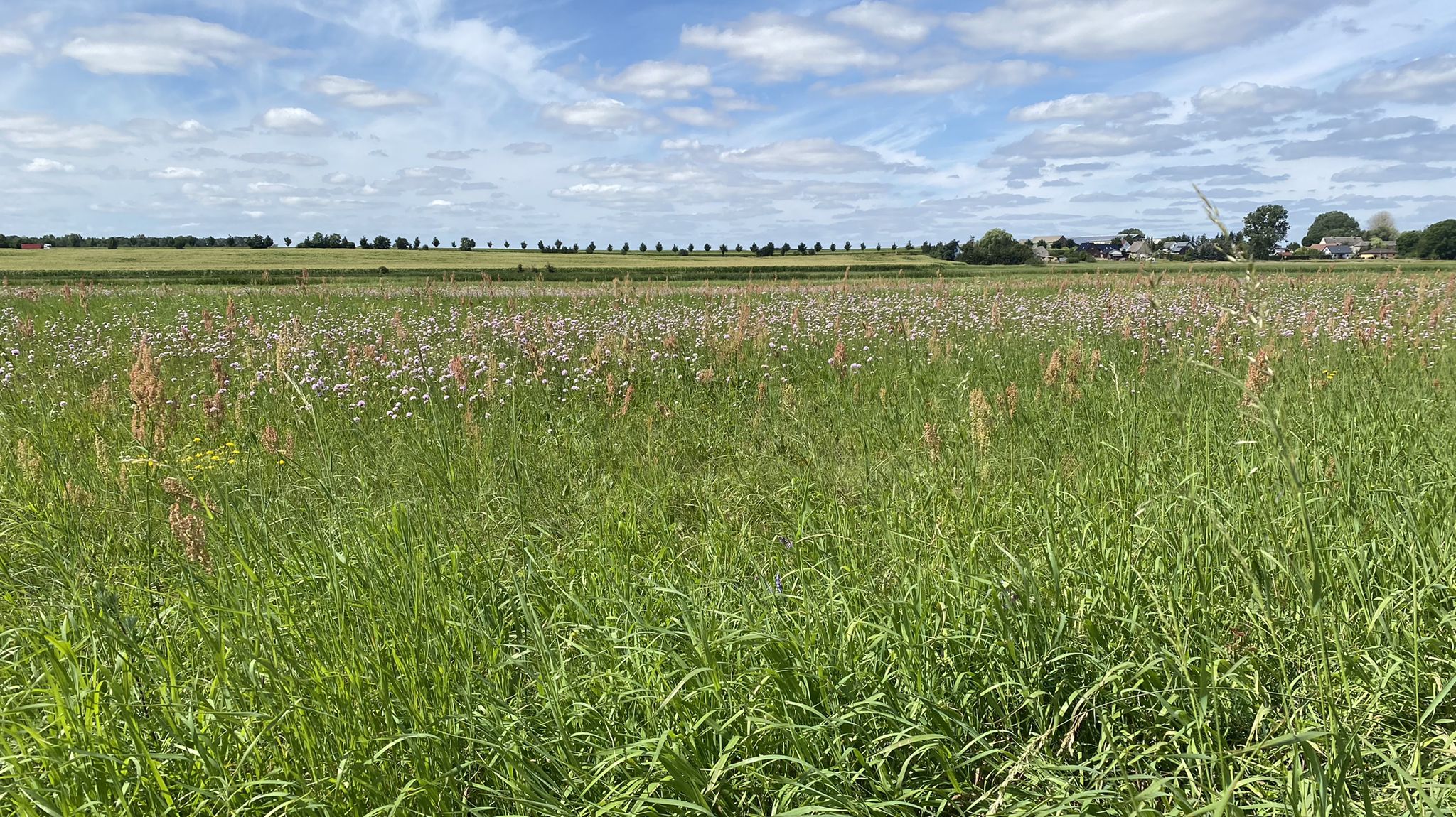 Blick nach Steinbrink