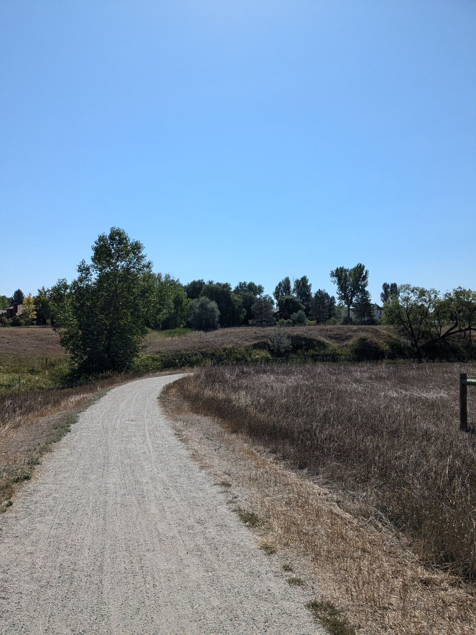 Curved gravel path through dry grass and distant green trees. - Niwot Loop Trail