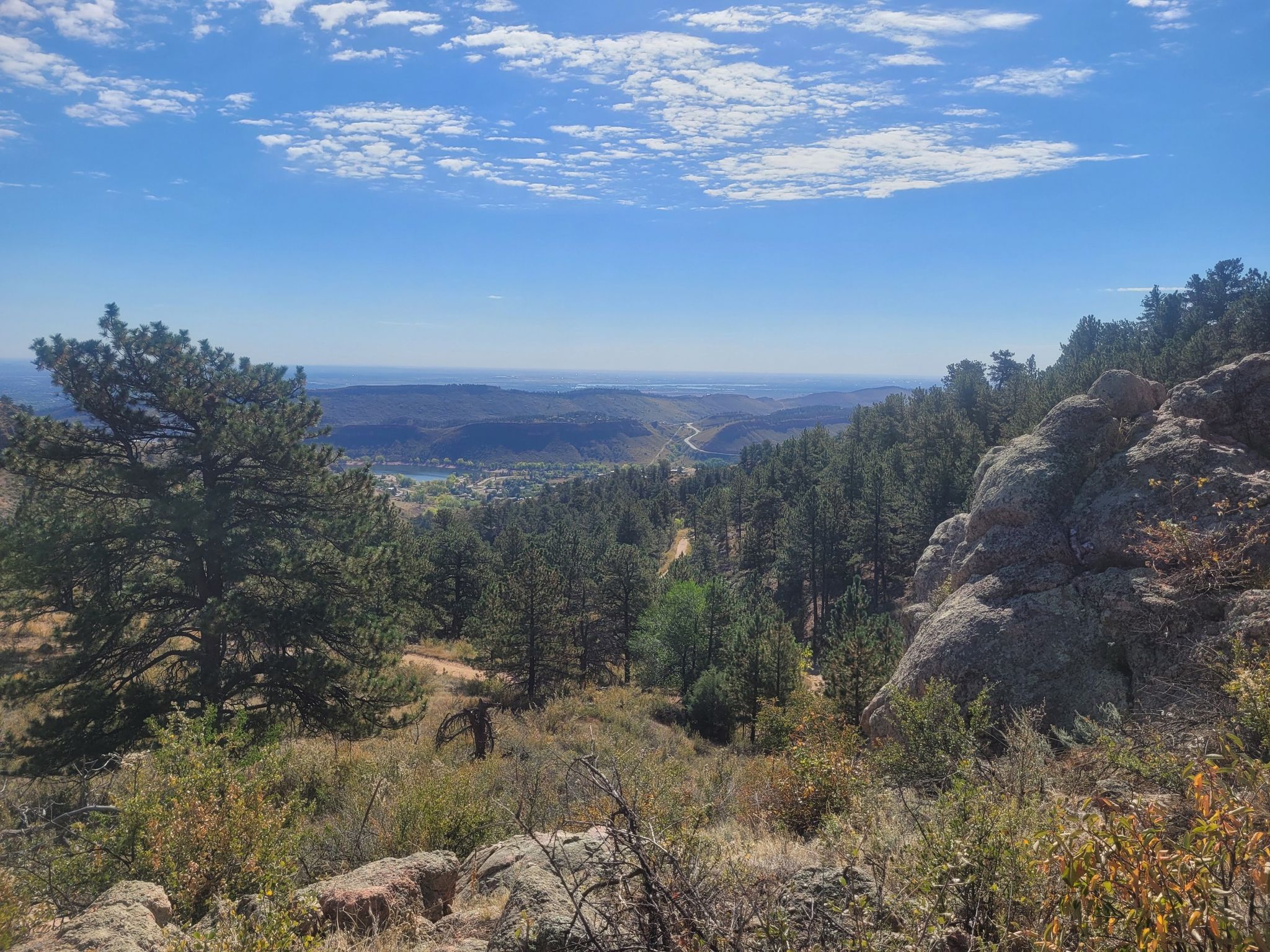 Forested valley view from a rocky outcrop under a bright blue sky. - Hiking loop from Horsetooth Mountain Open Space